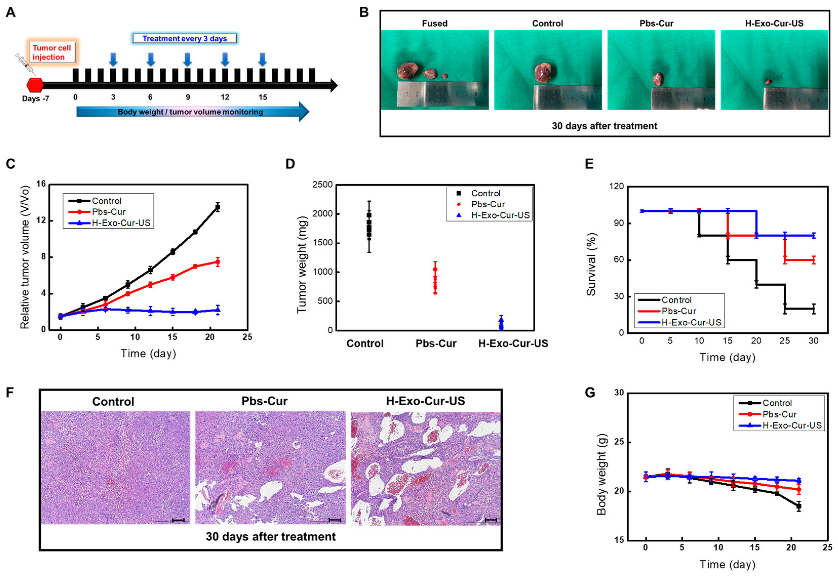 Bioengineering 11 01184 g009