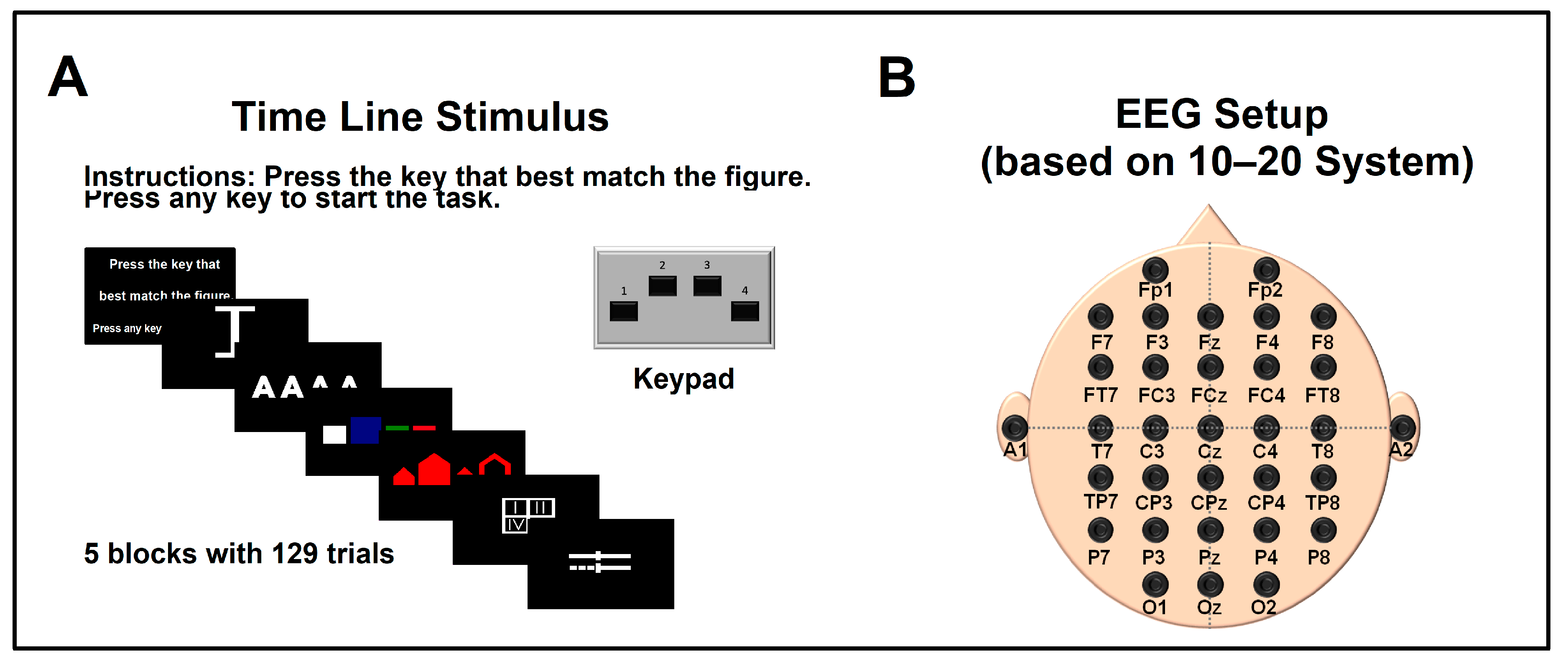 Bioengineering 11 01187 g001