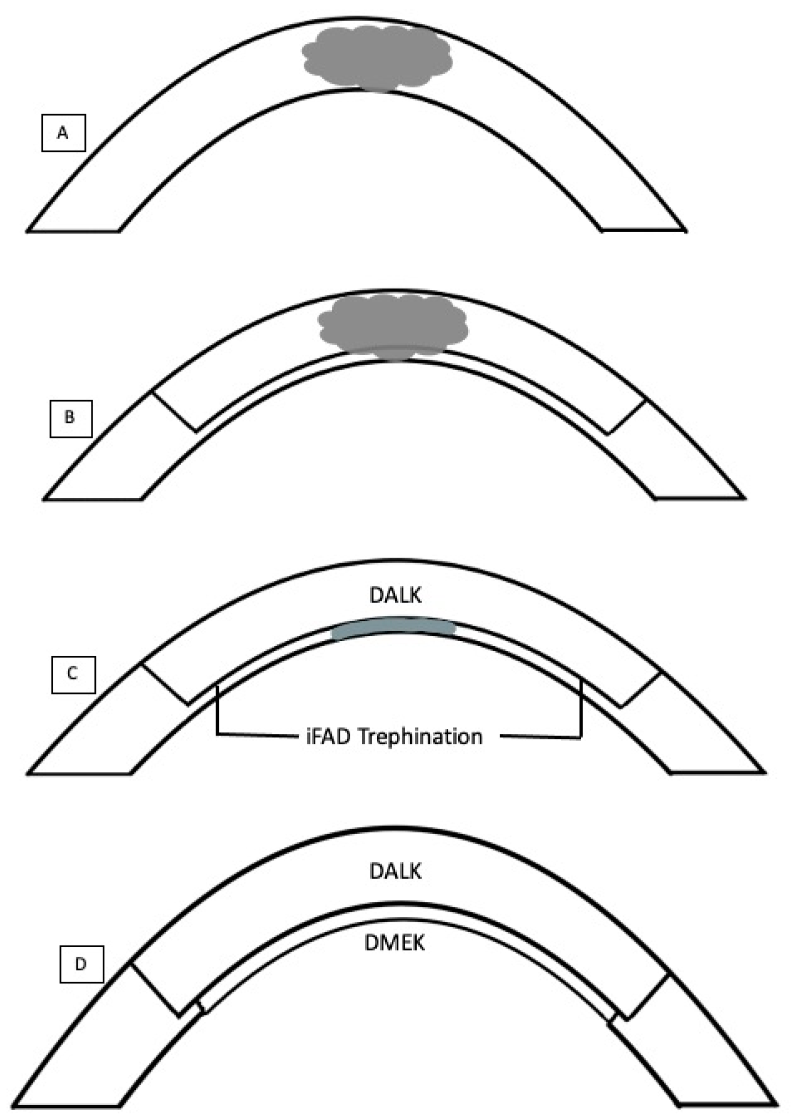 Bioengineering 11 01192 g002