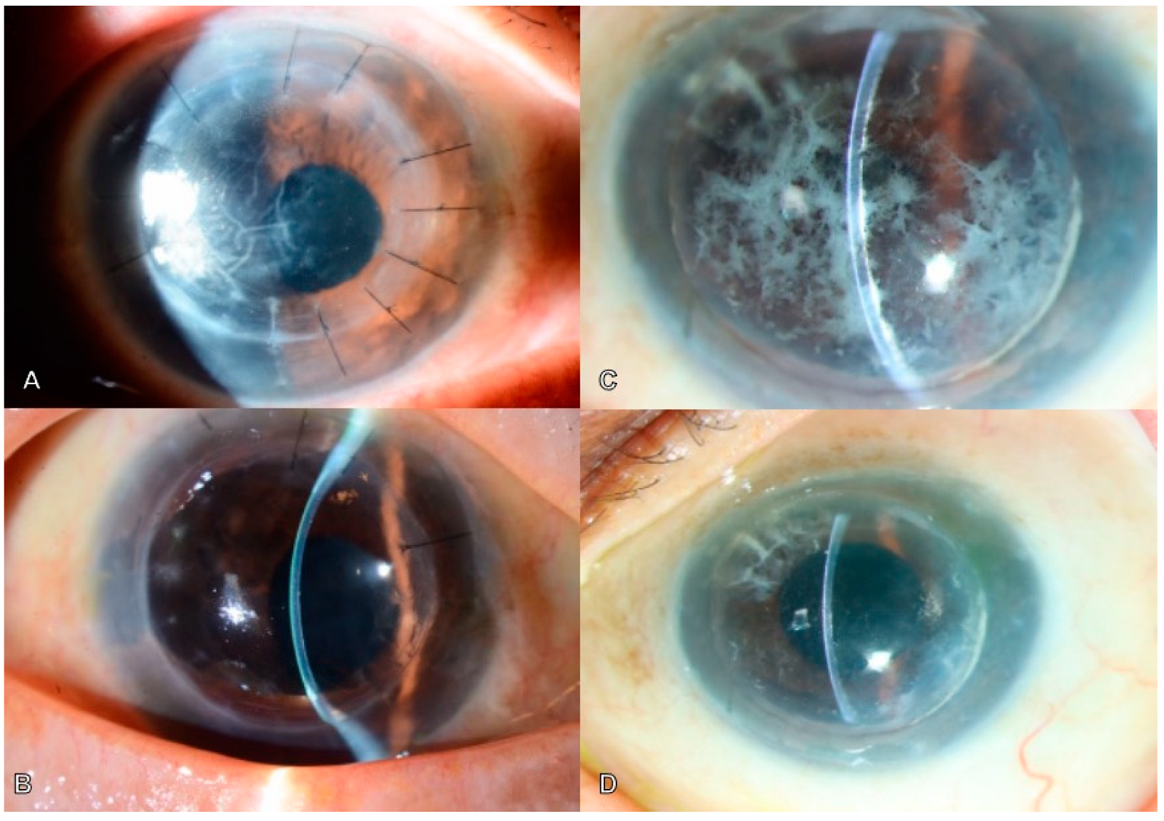 Bioengineering 11 01192 g005