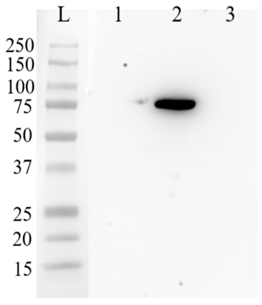 Bioengineering 11 01194 g005