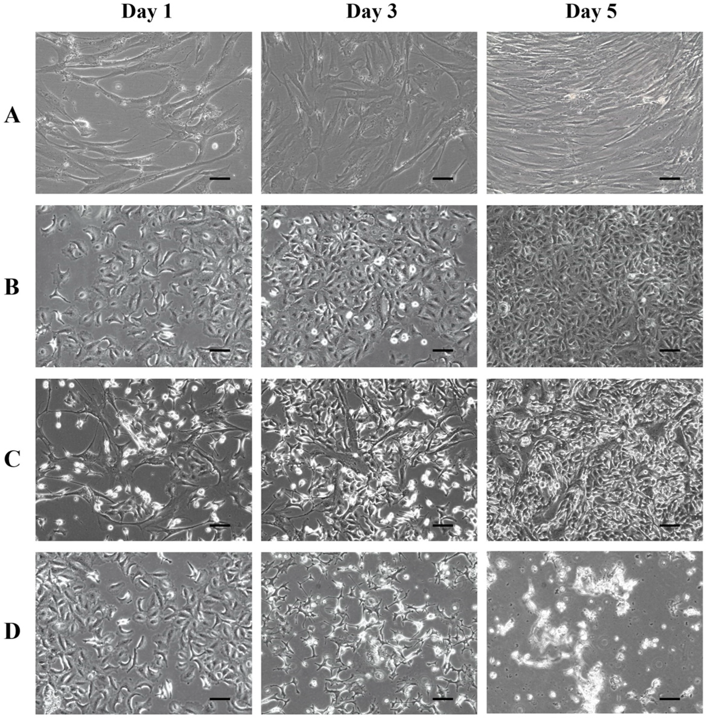 Bioengineering 11 01194 g008