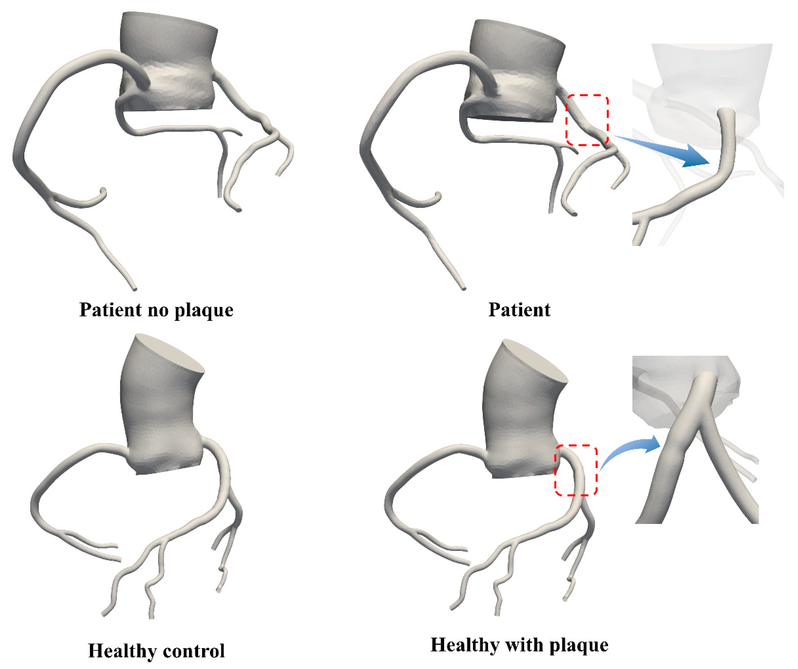 Bioengineering 11 01196 g002