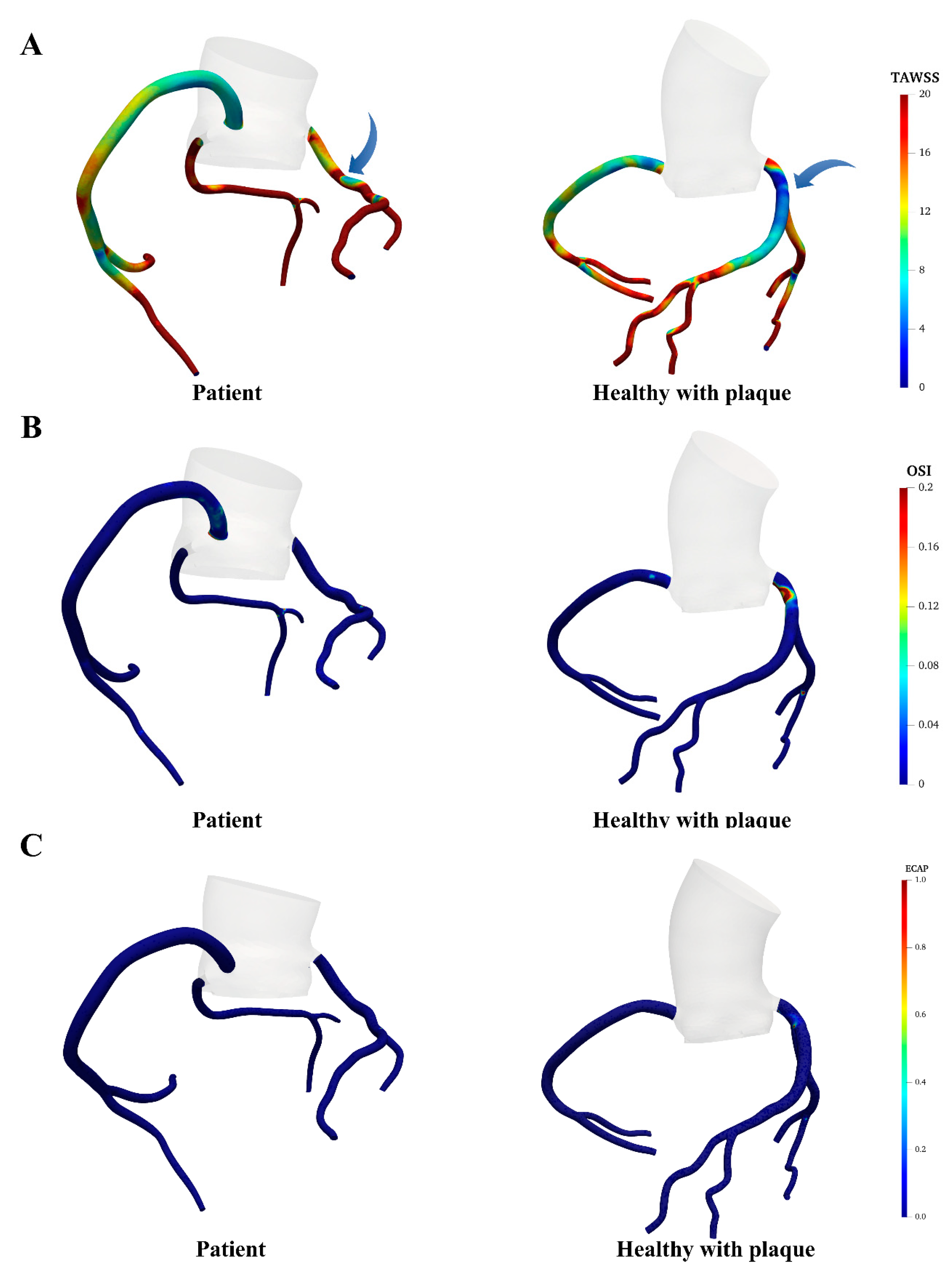 Bioengineering 11 01196 g005