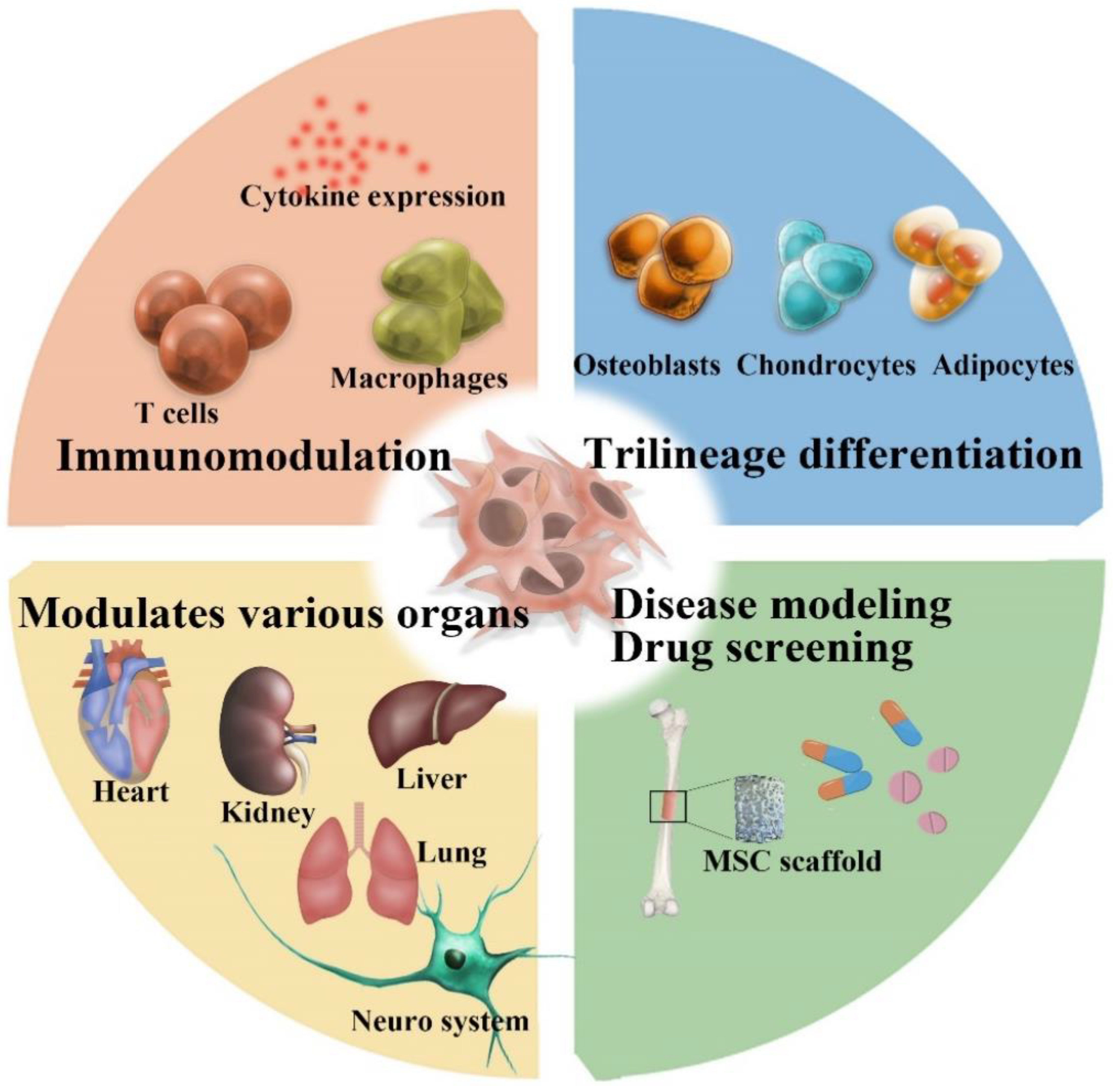 Bioengineering 11 01199 g001 Bioengineering 11 01199 g001