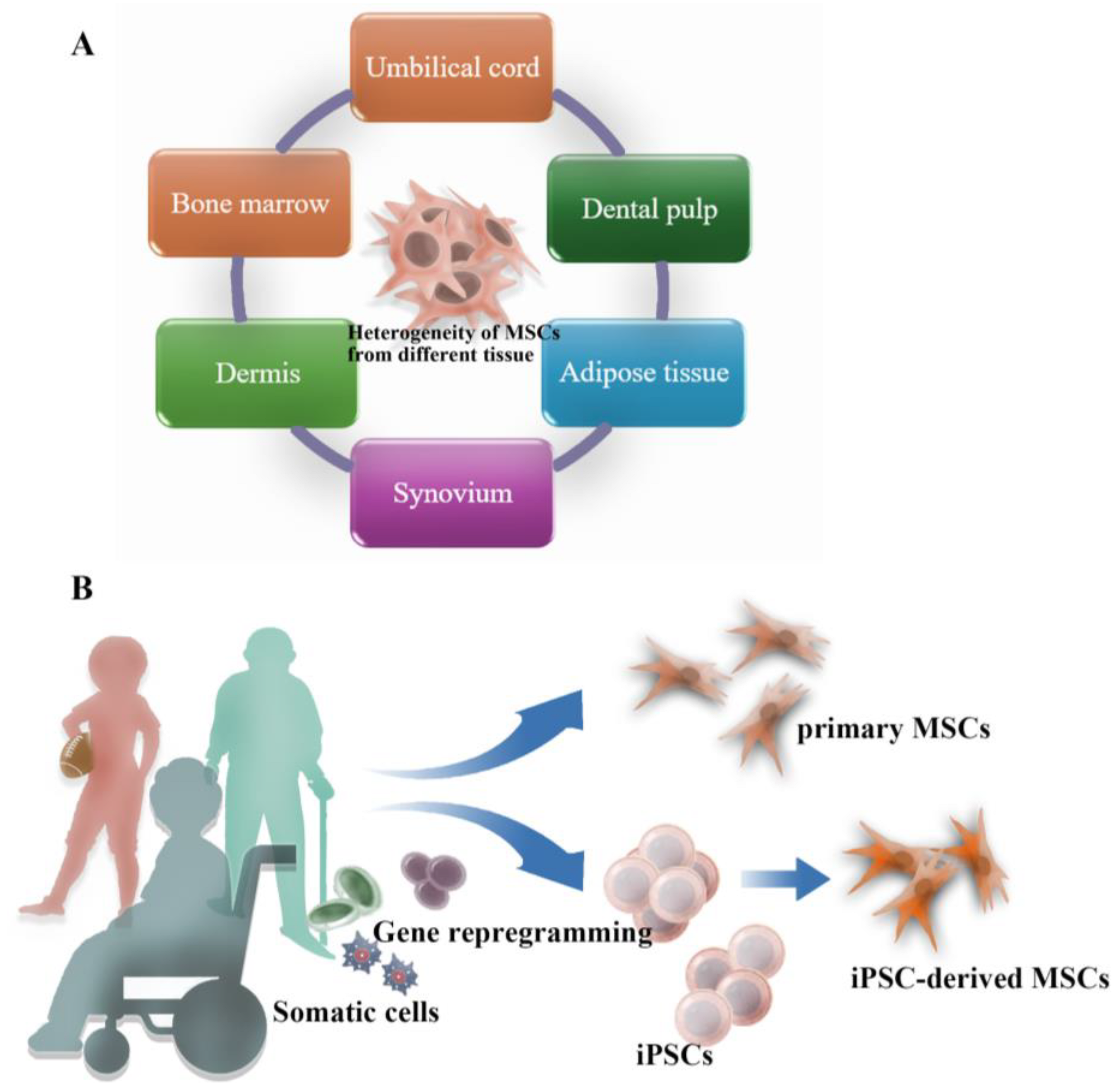 Bioengineering 11 01199 g002 Bioengineering 11 01199 g002