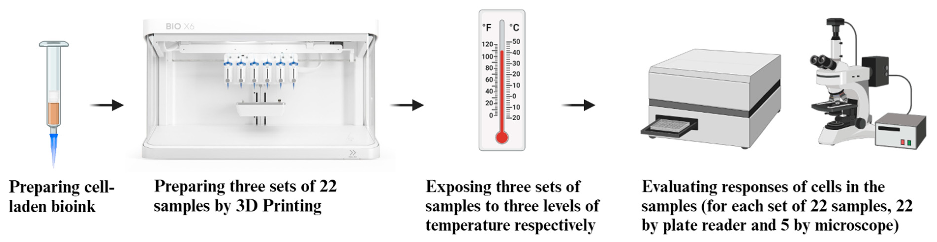 Bioengineering 11 01201 g001