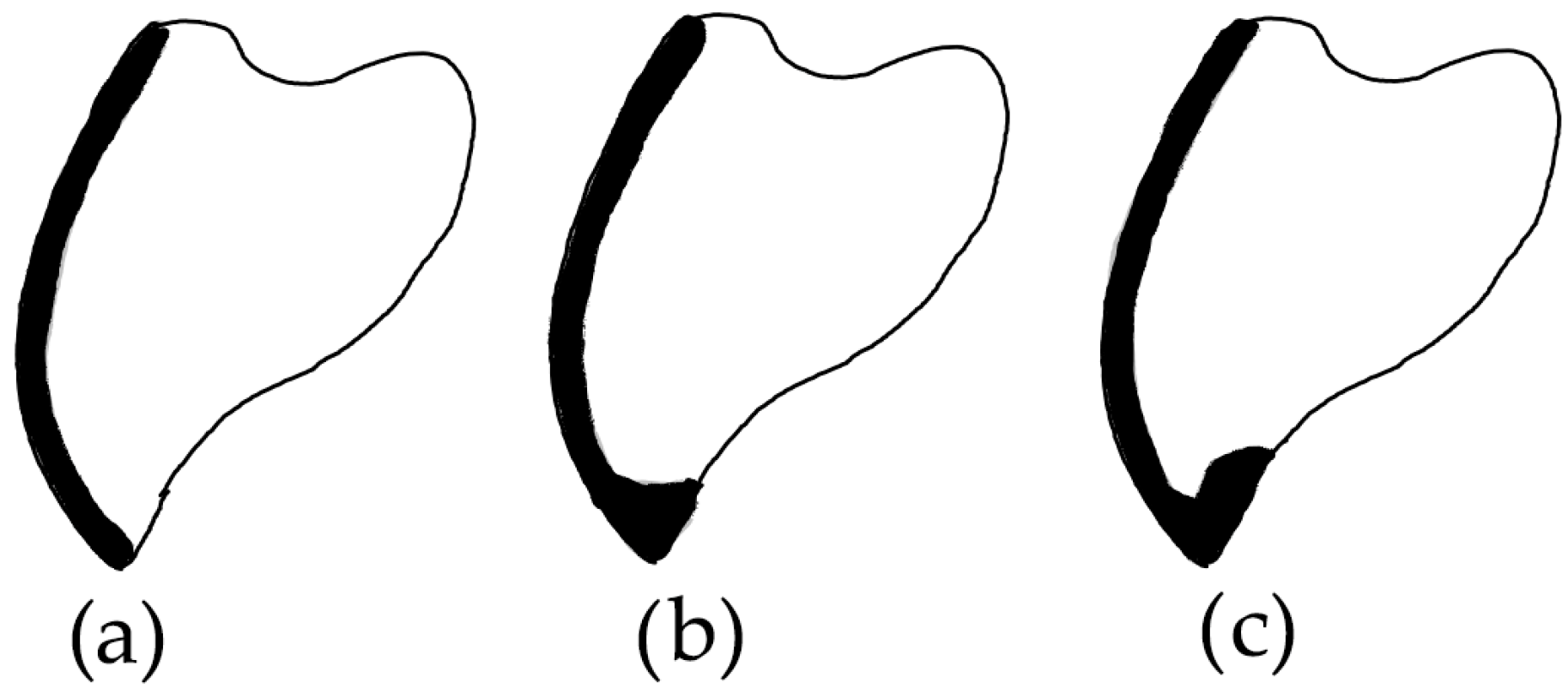 Bioengineering 11 01204 g001 Bioengineering 11 01204 g001