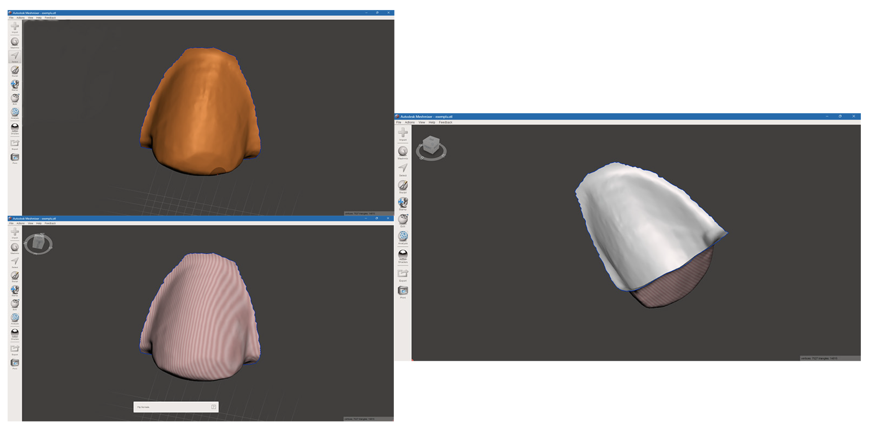 Bioengineering 11 01204 g006 Bioengineering 11 01204 g006