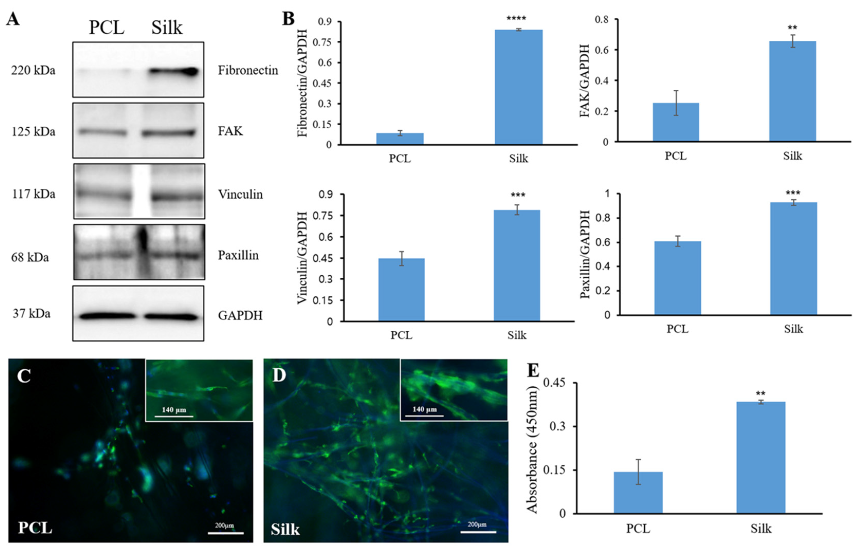Bioengineering 11 01209 g002