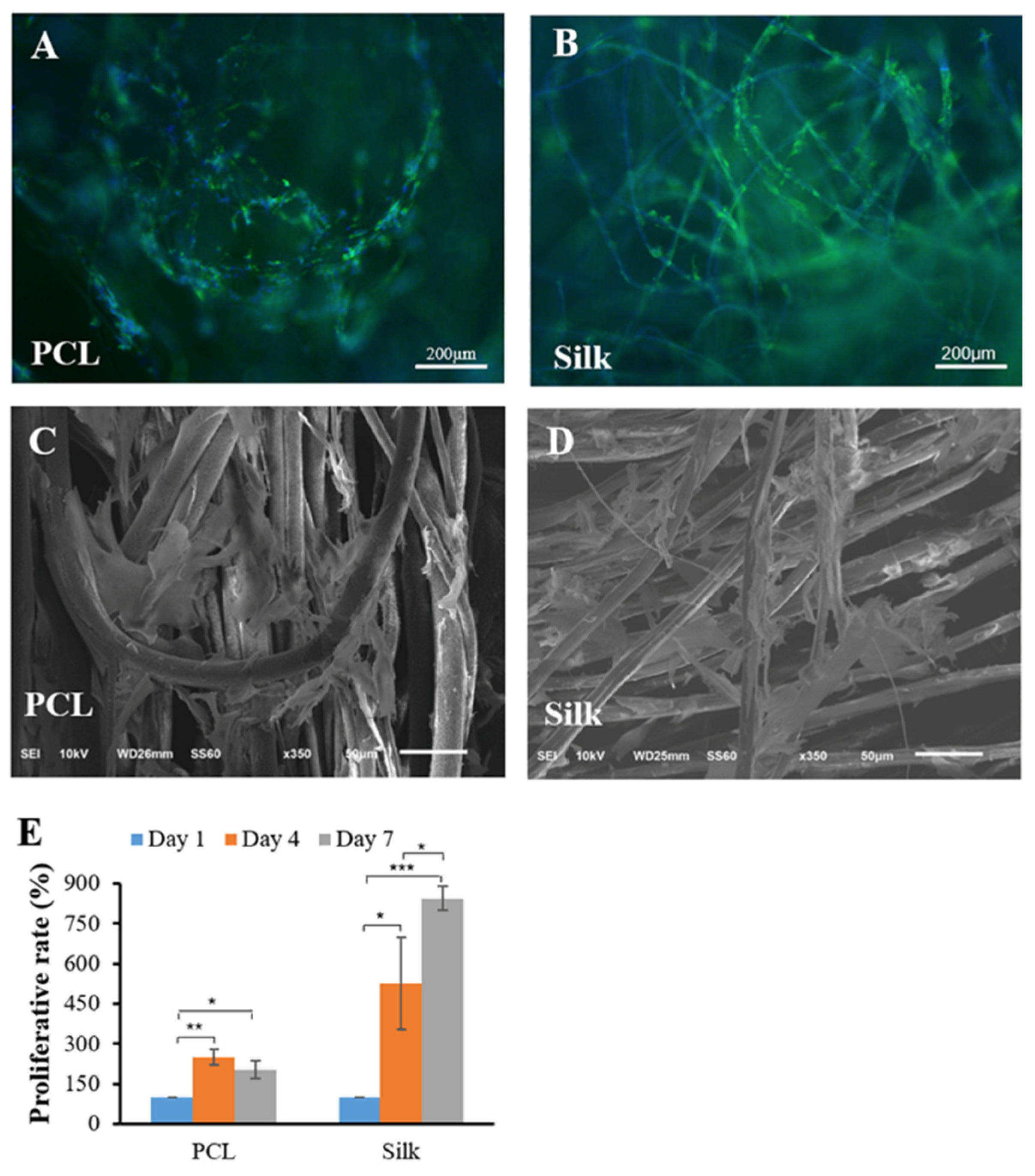 Bioengineering 11 01209 g003