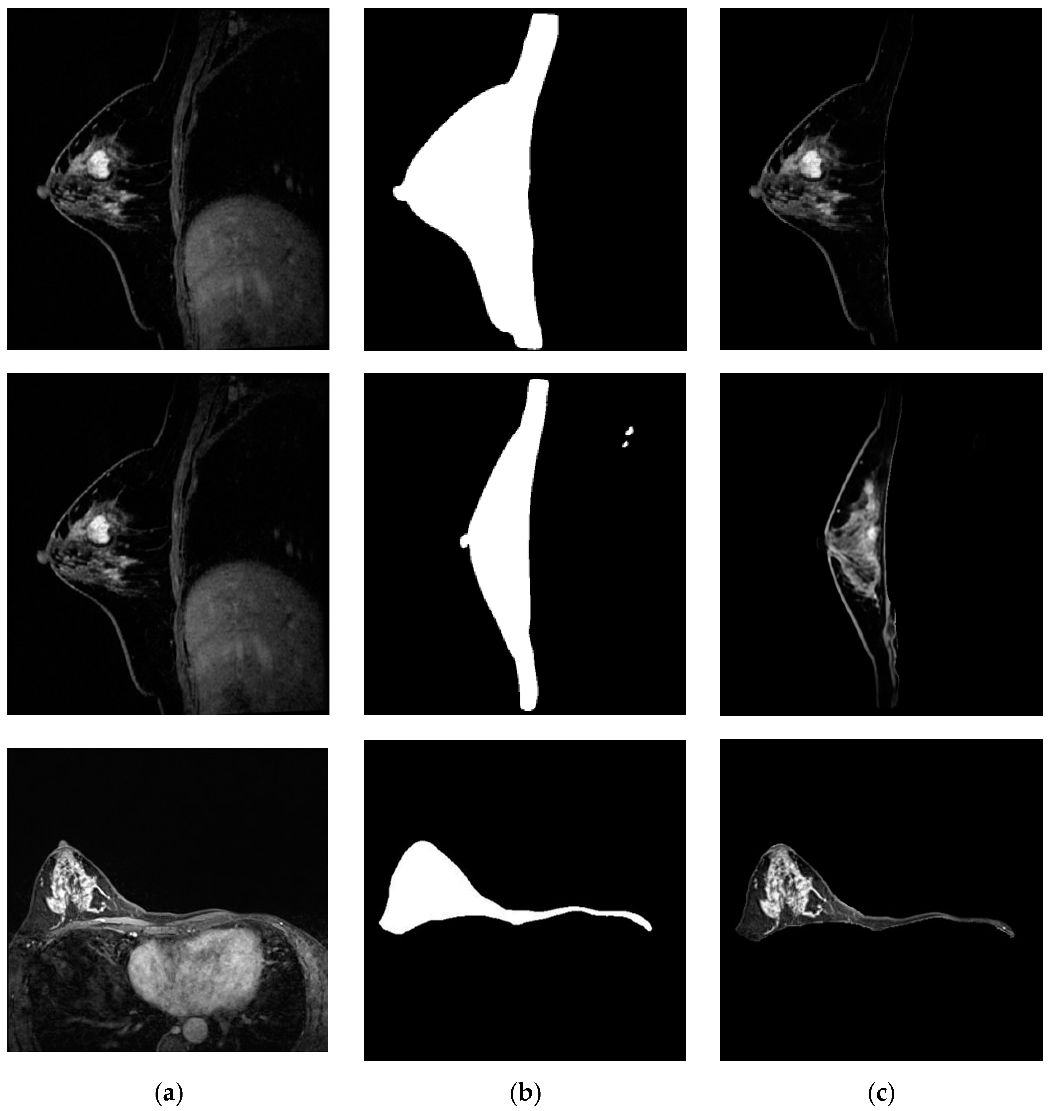 Bioengineering 11 01217 g006