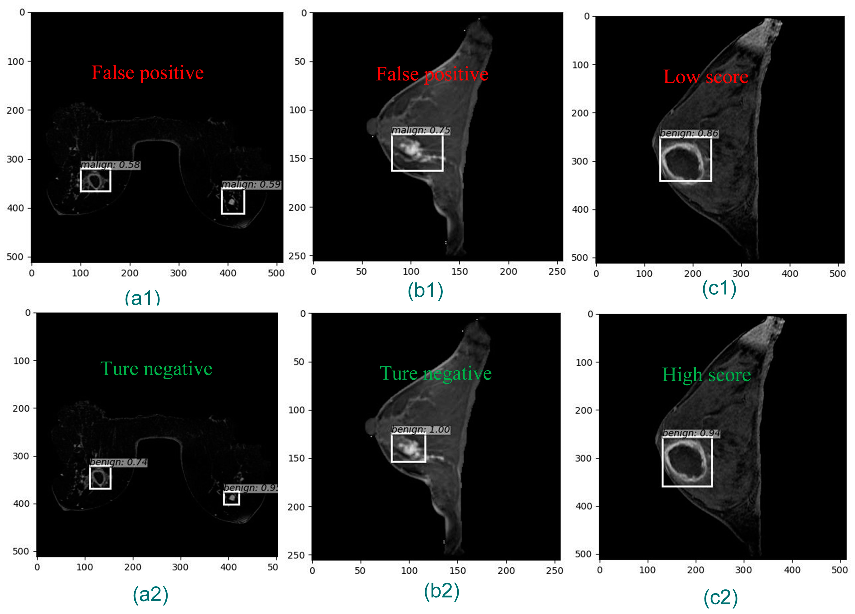 Bioengineering 11 01217 g008