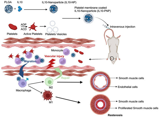 Nanoparticle-Based Drug Delivery for Vascular Applications