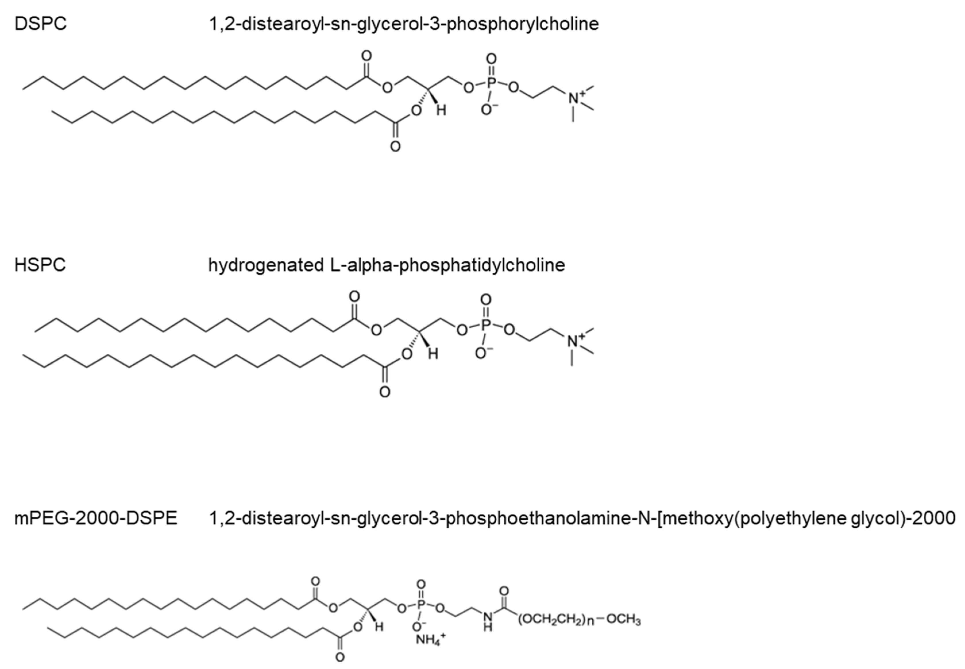 Bioengineering 11 01224 g001