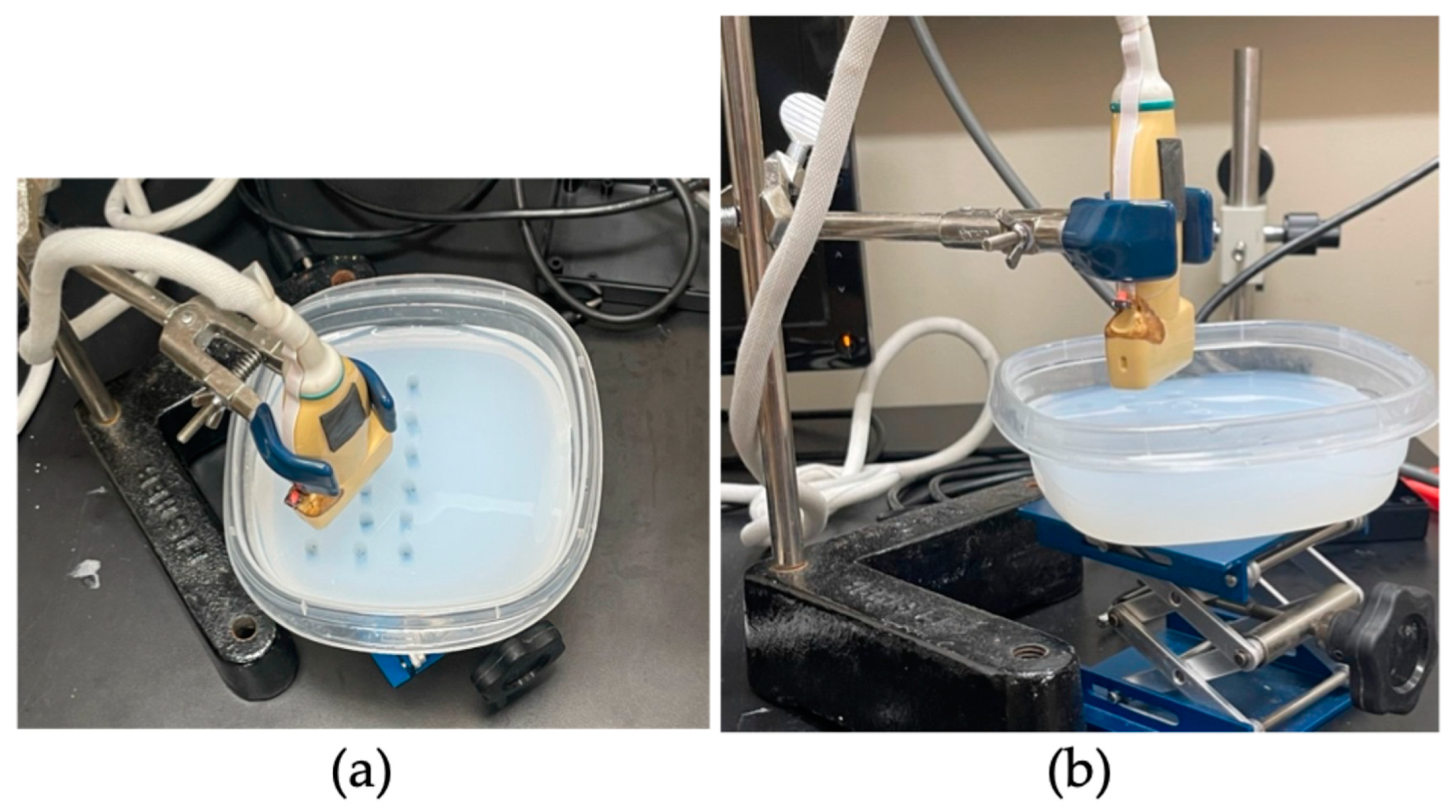 Bioengineering 11 01224 g003