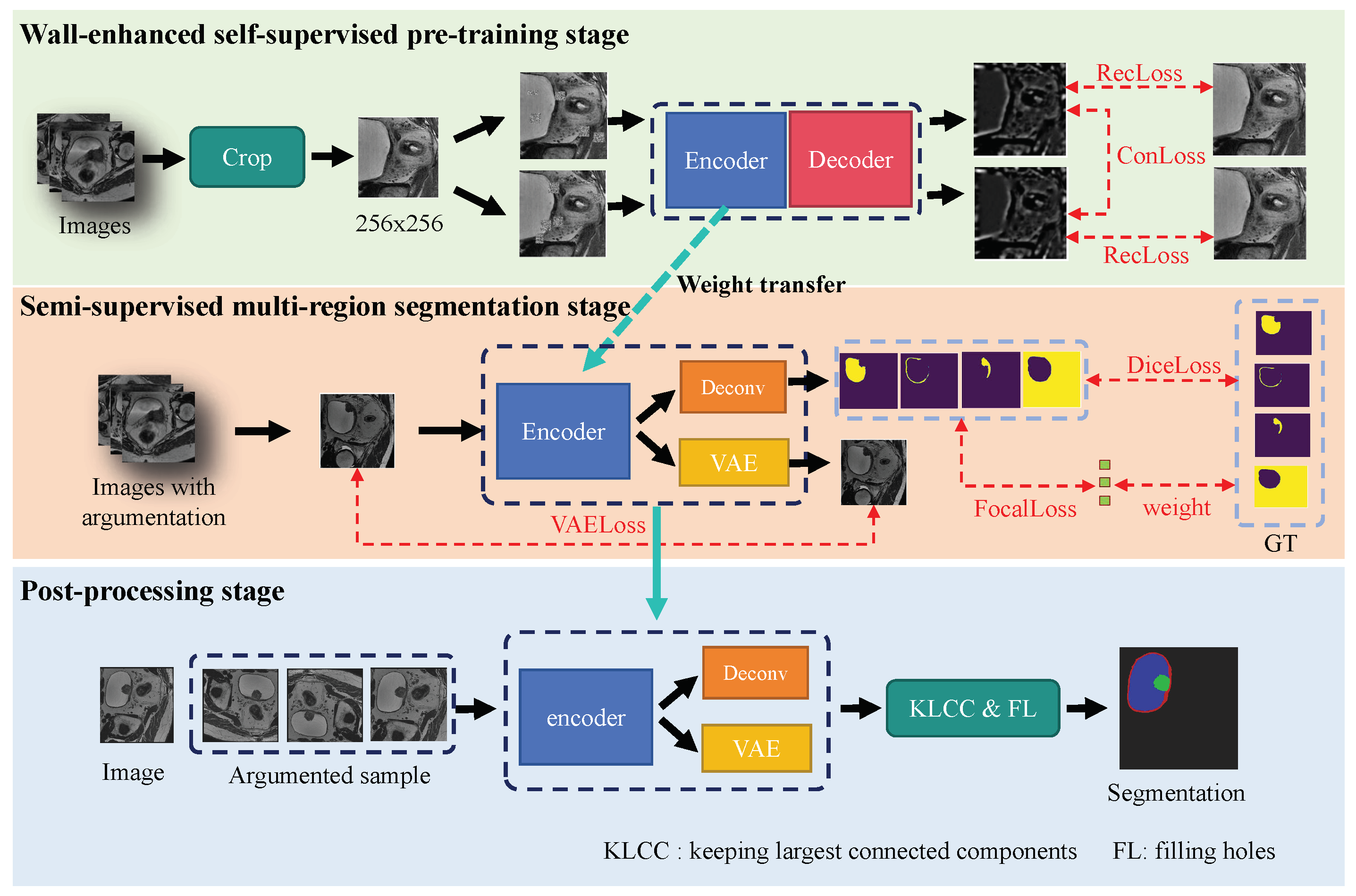 Bioengineering 11 01225 g001