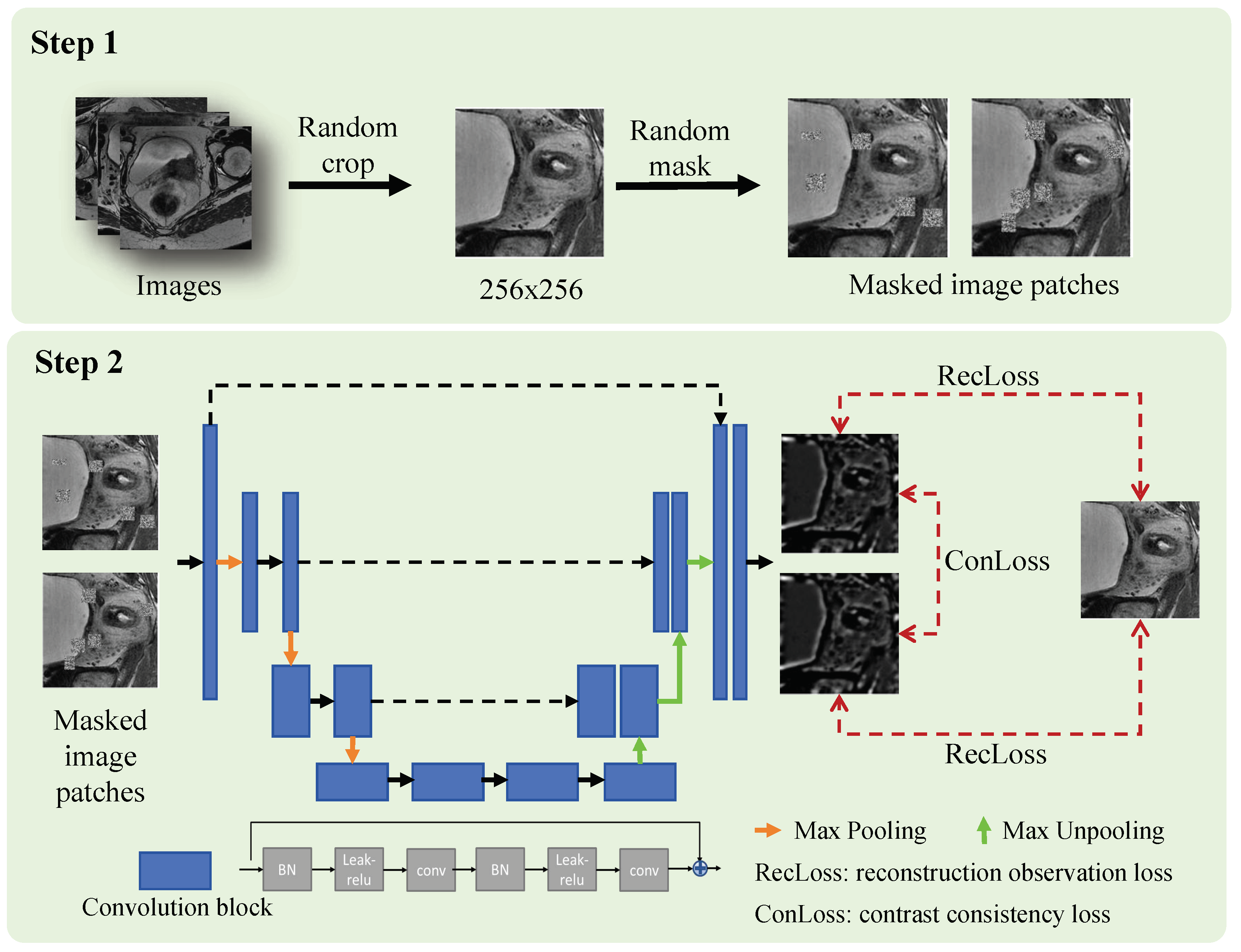 Bioengineering 11 01225 g002