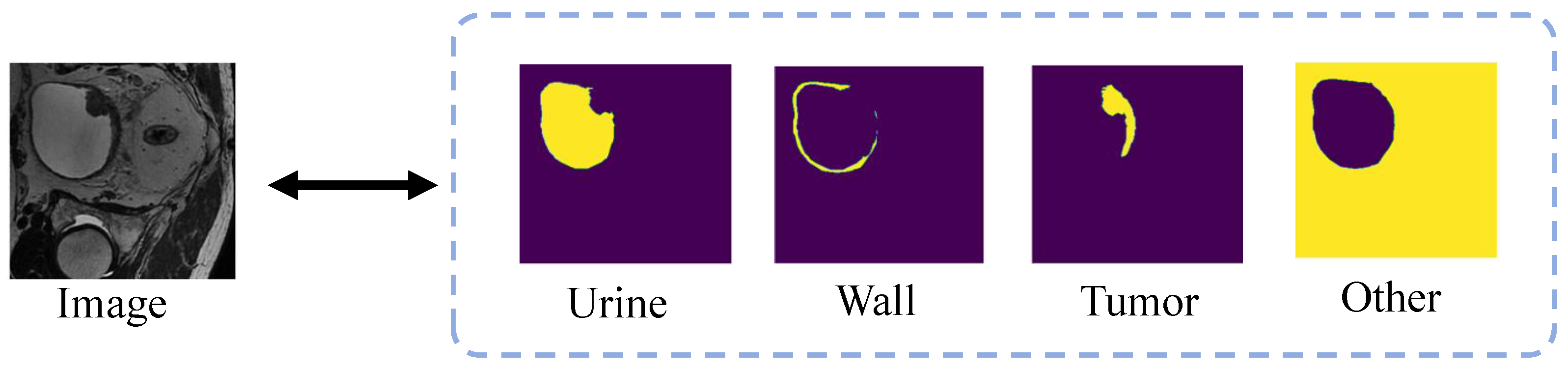 Bioengineering 11 01225 g004