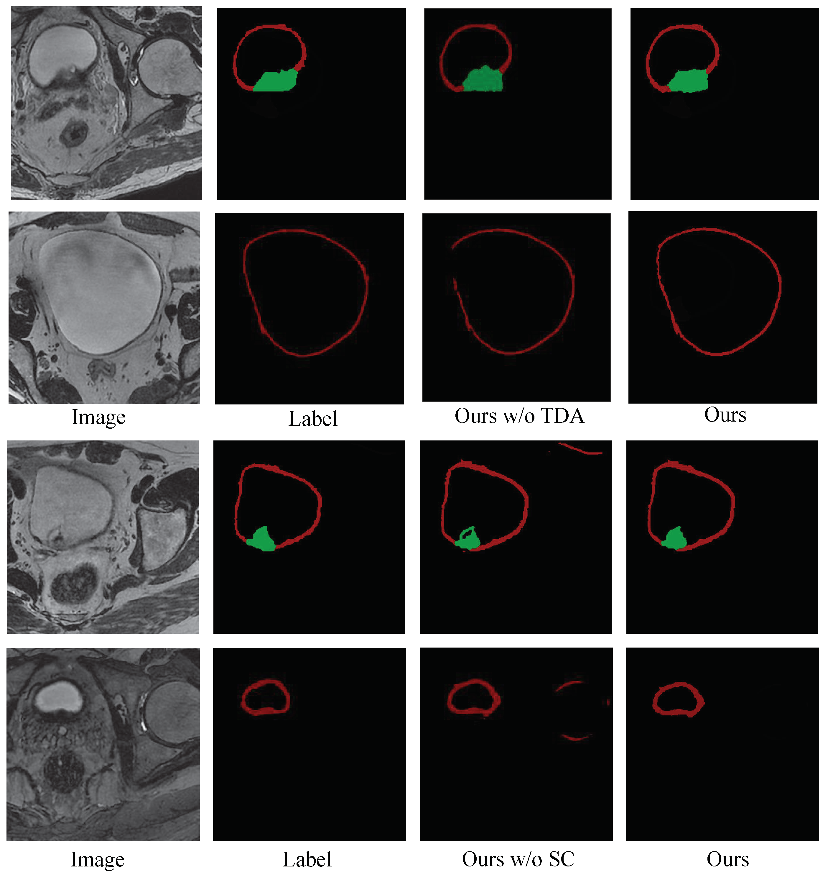 Bioengineering 11 01225 g007