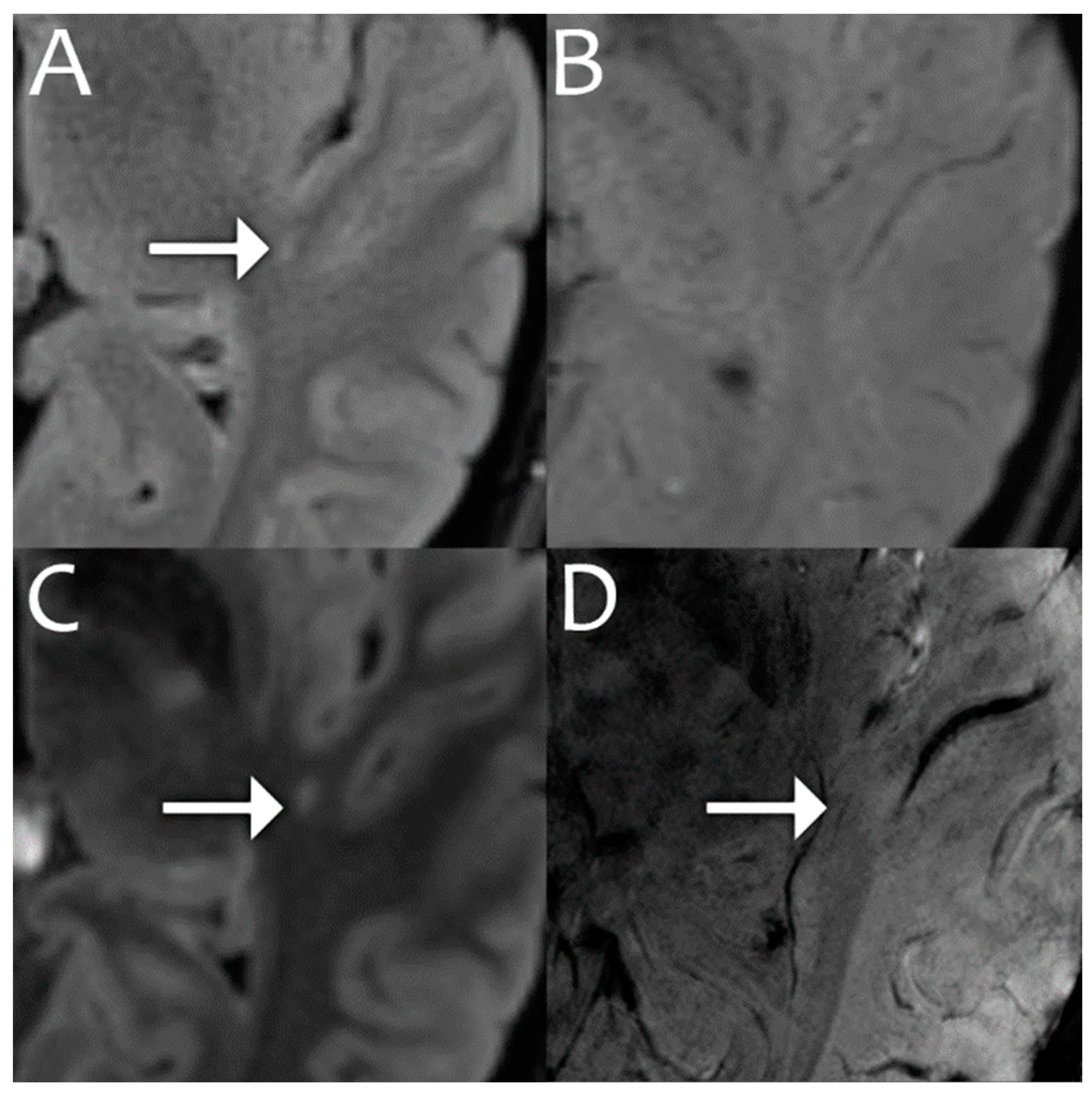 Bioengineering 11 01228 g003