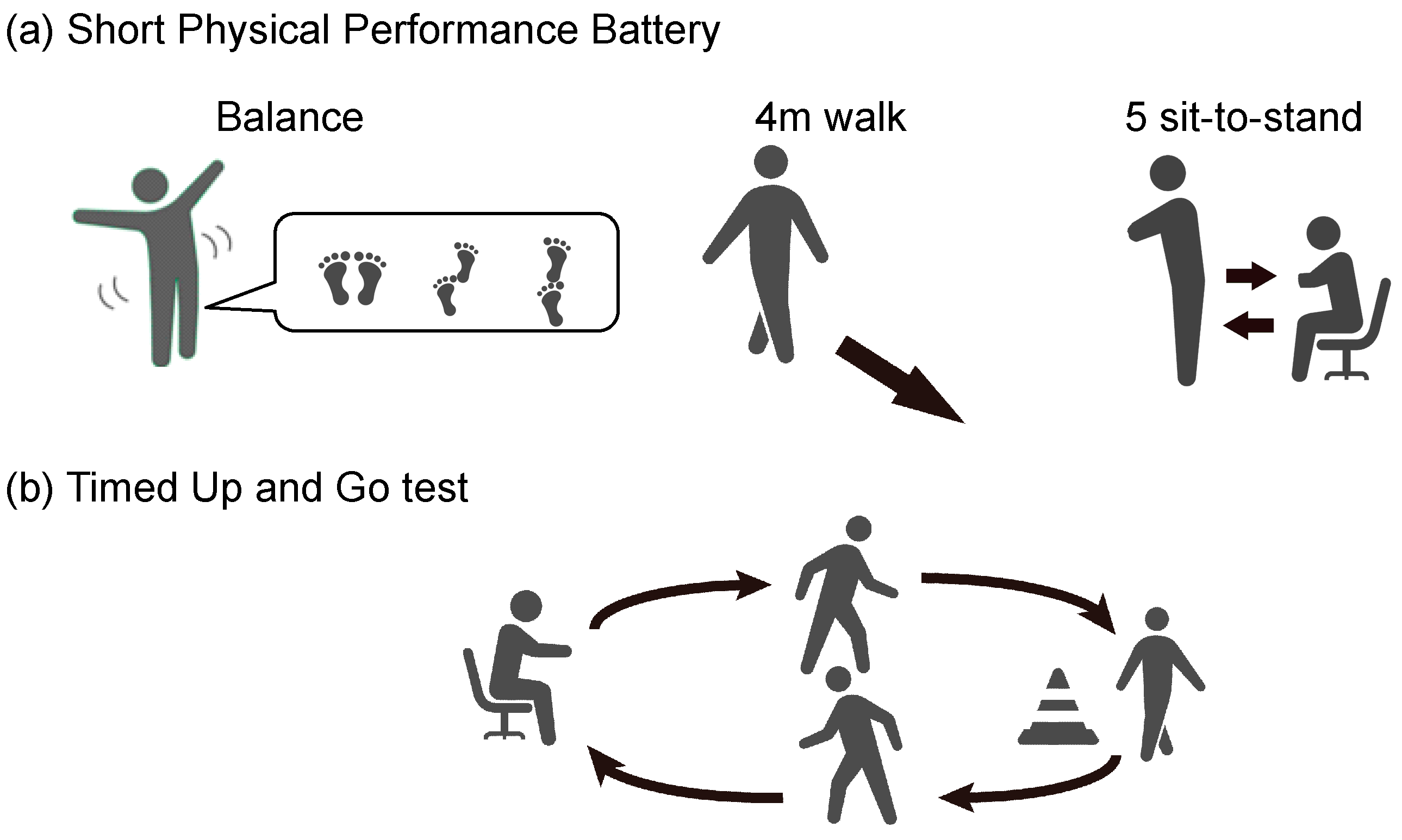 Bioengineering 11 01232 g001
