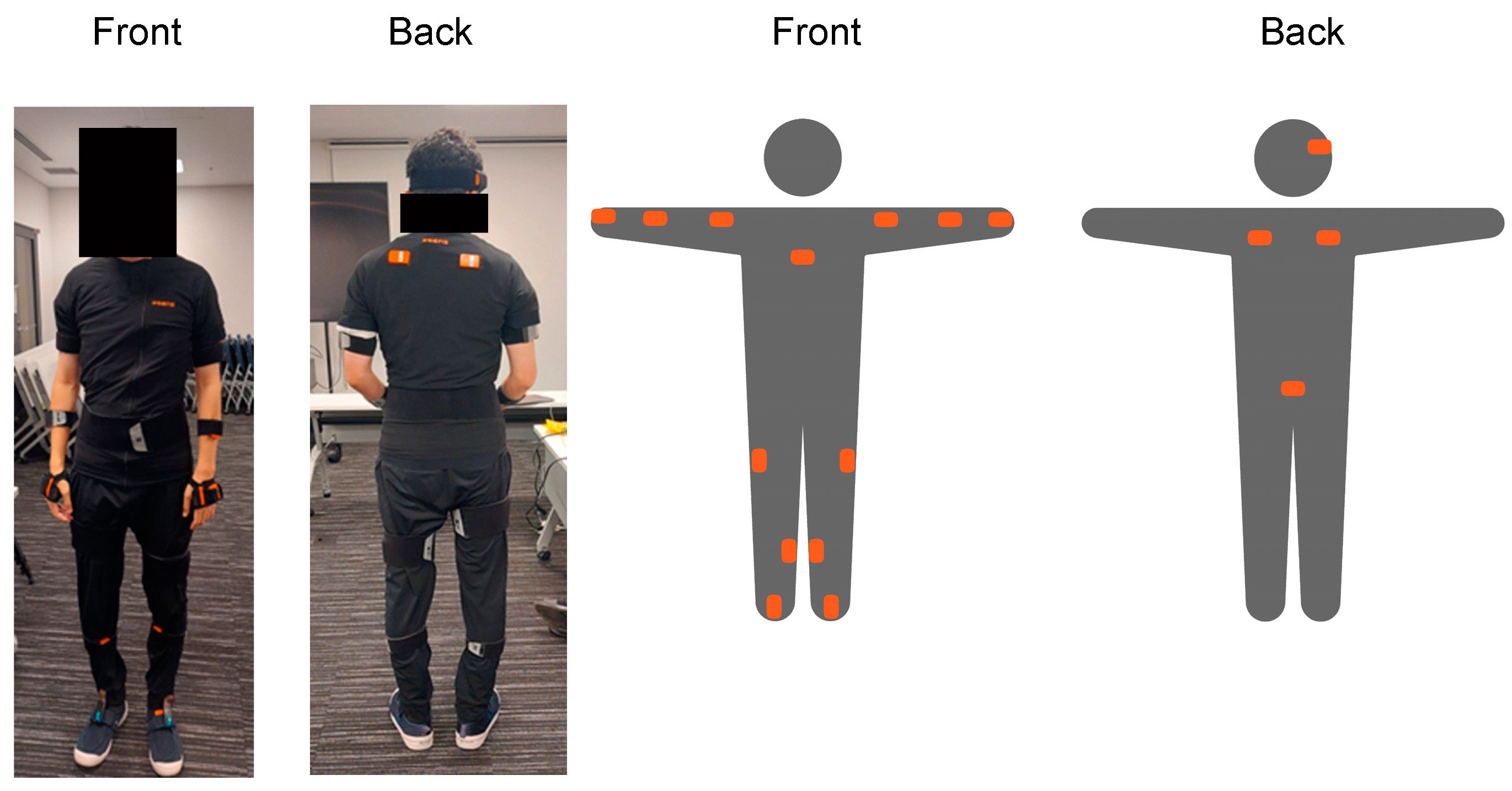 Bioengineering 11 01232 g003