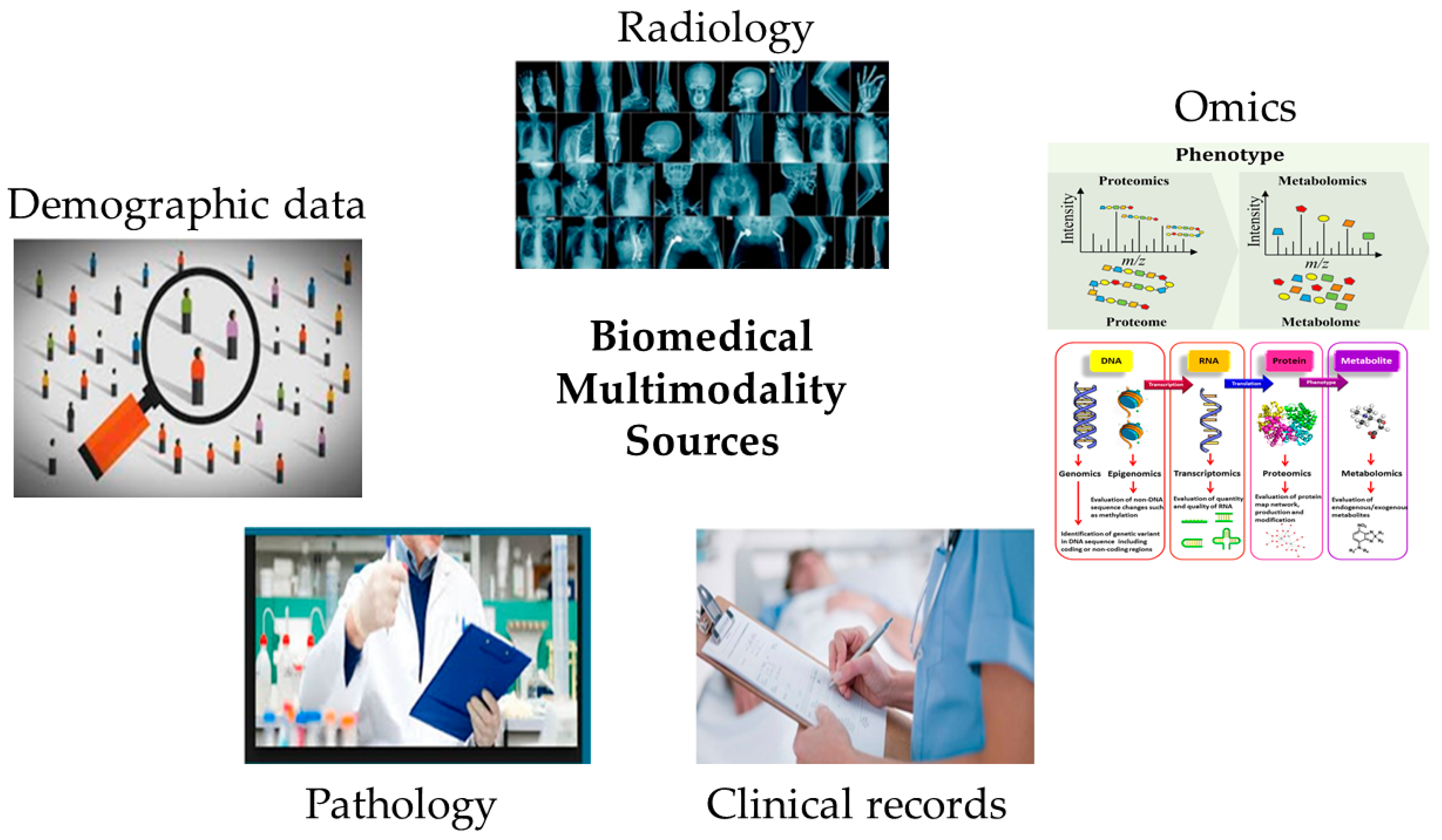 Bioengineering 11 01233 g002
