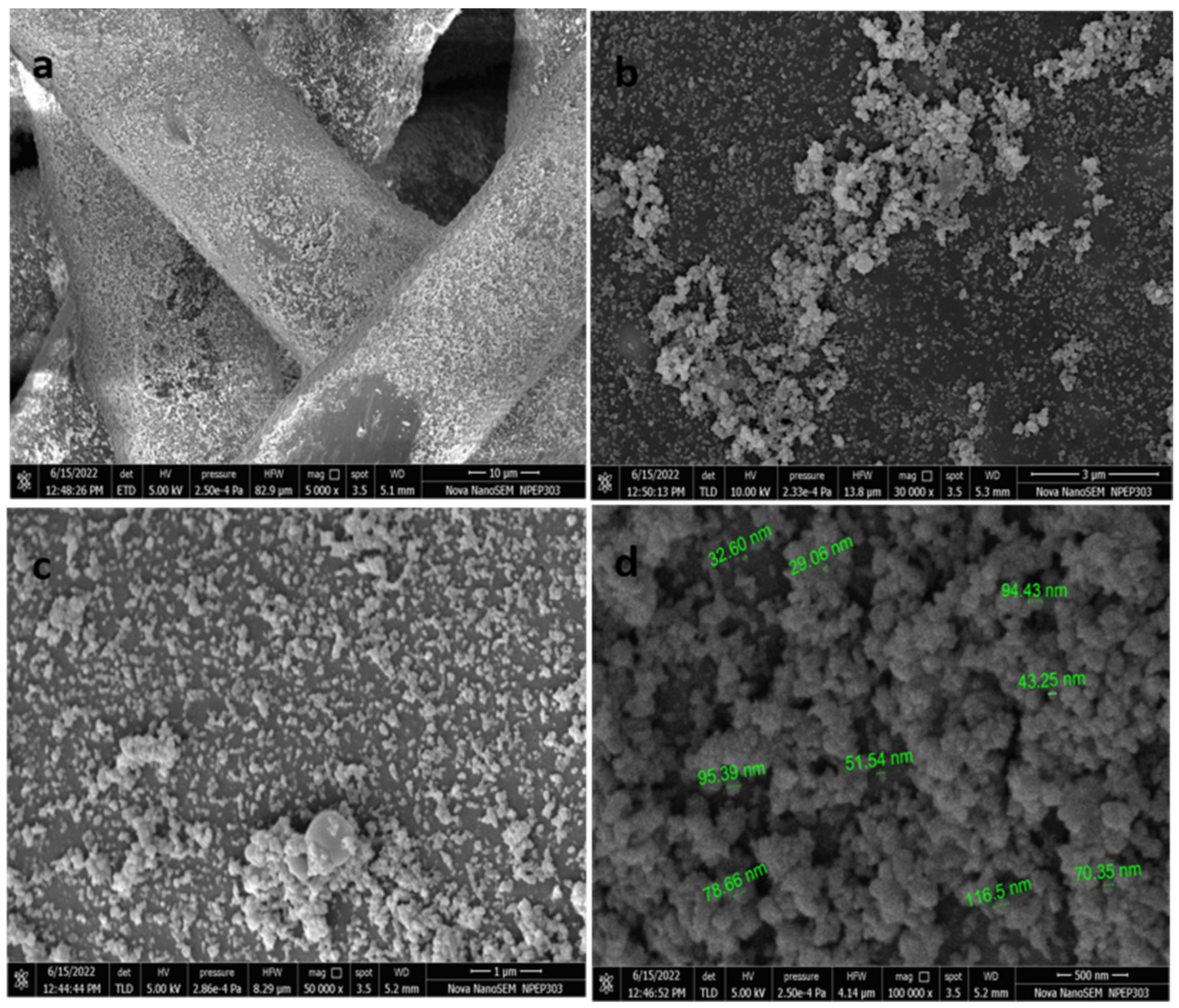 Bioengineering 11 01234 g002