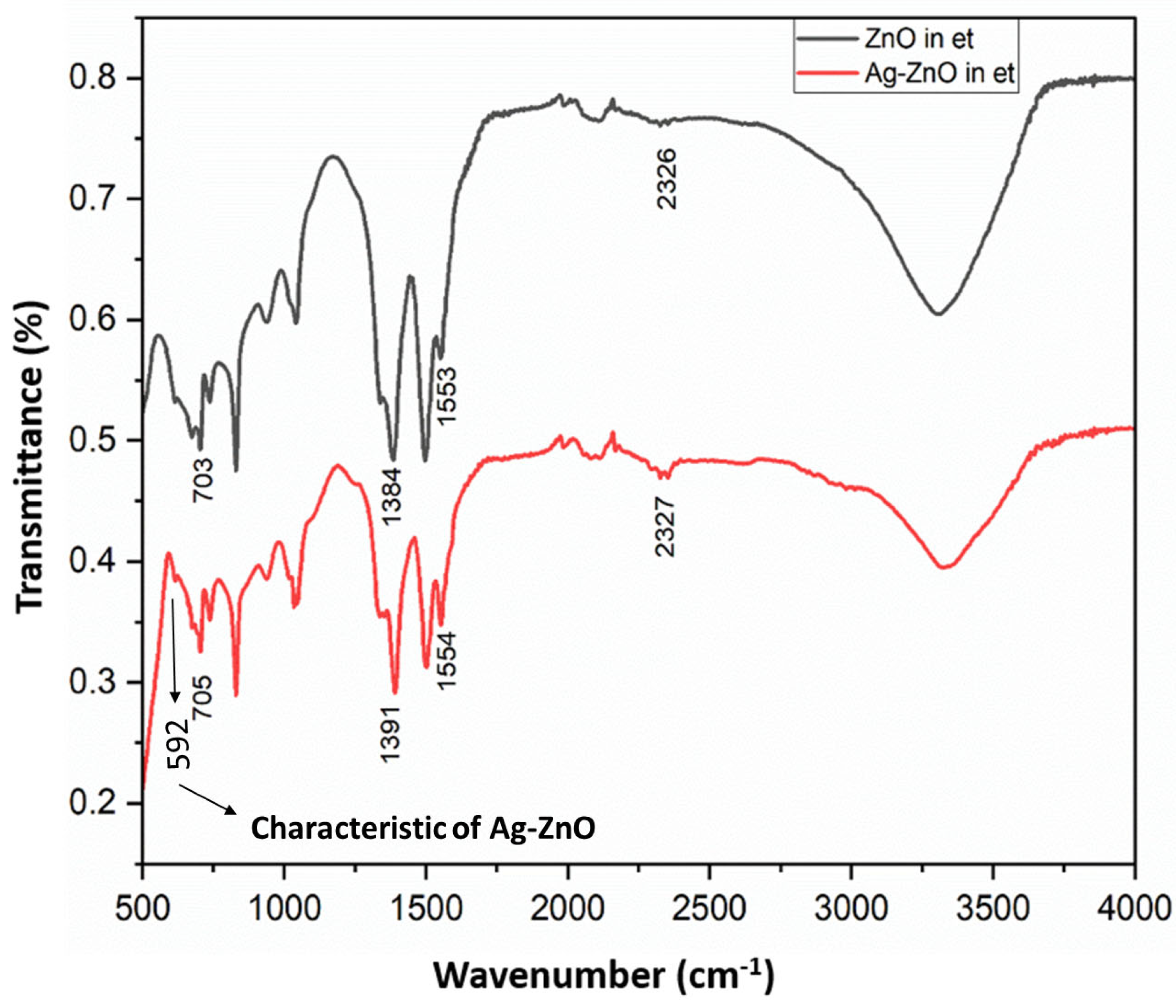 Bioengineering 11 01234 g008