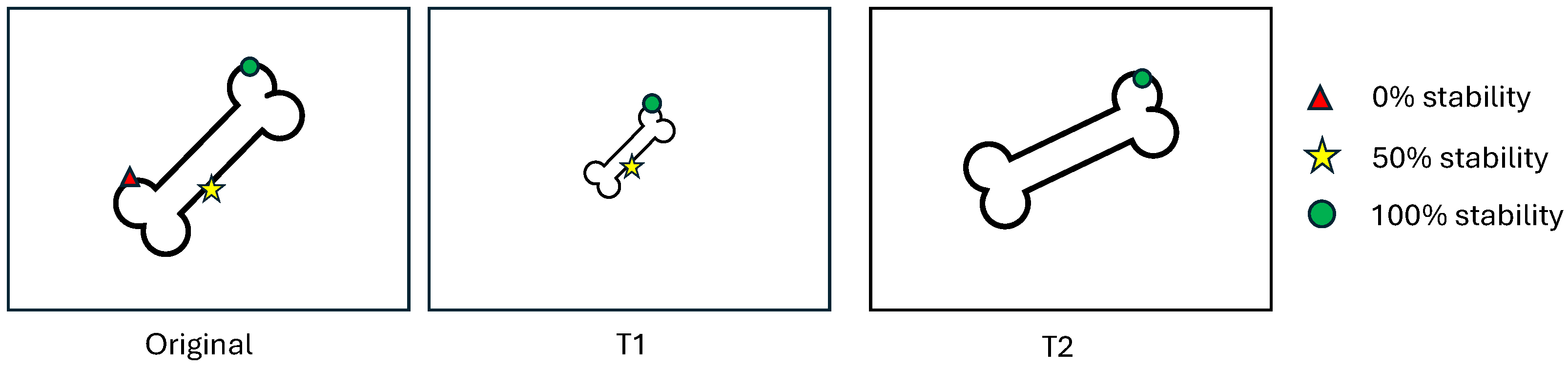 Bioengineering 11 01236 g001