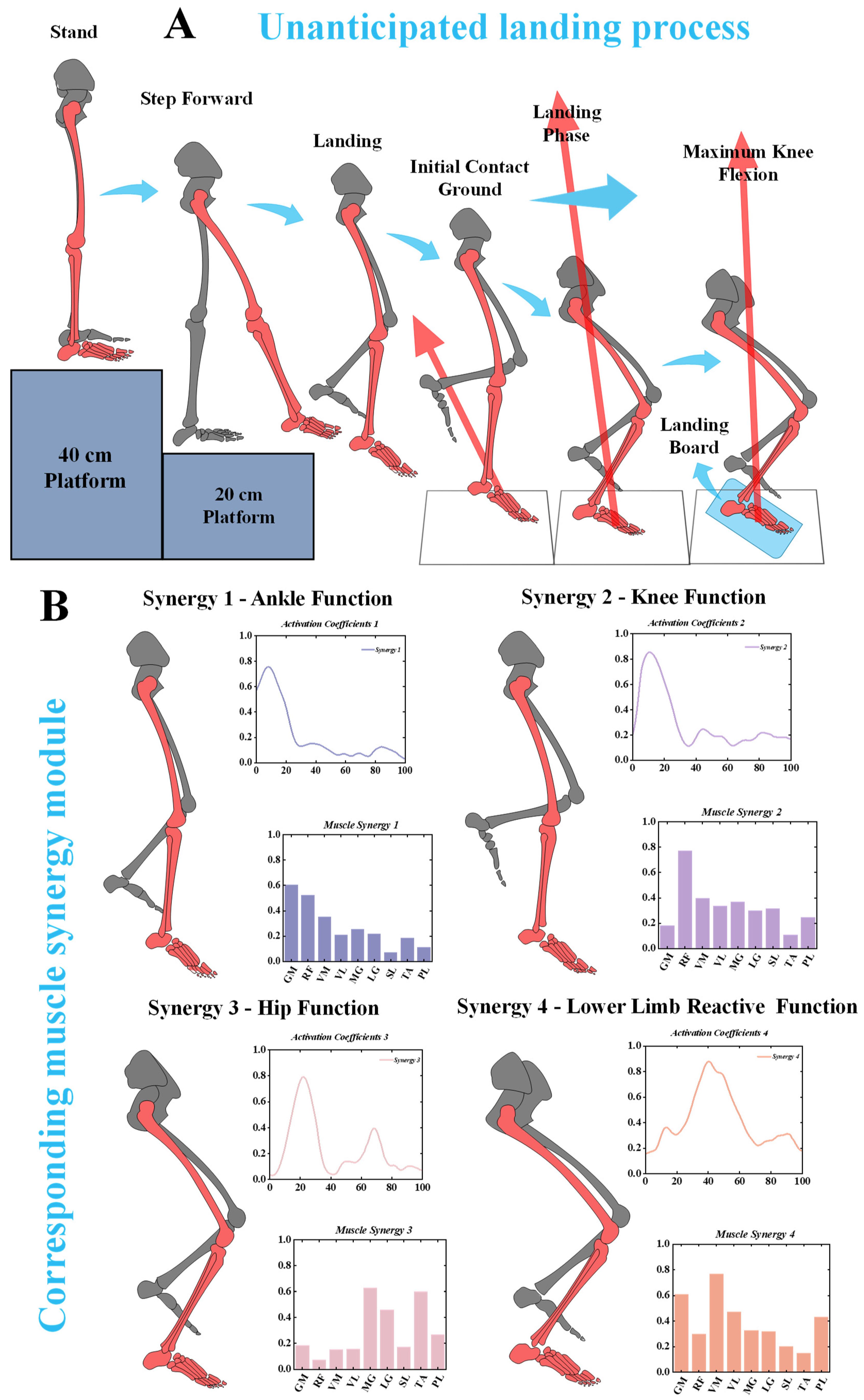 Bioengineering 11 01237 g011