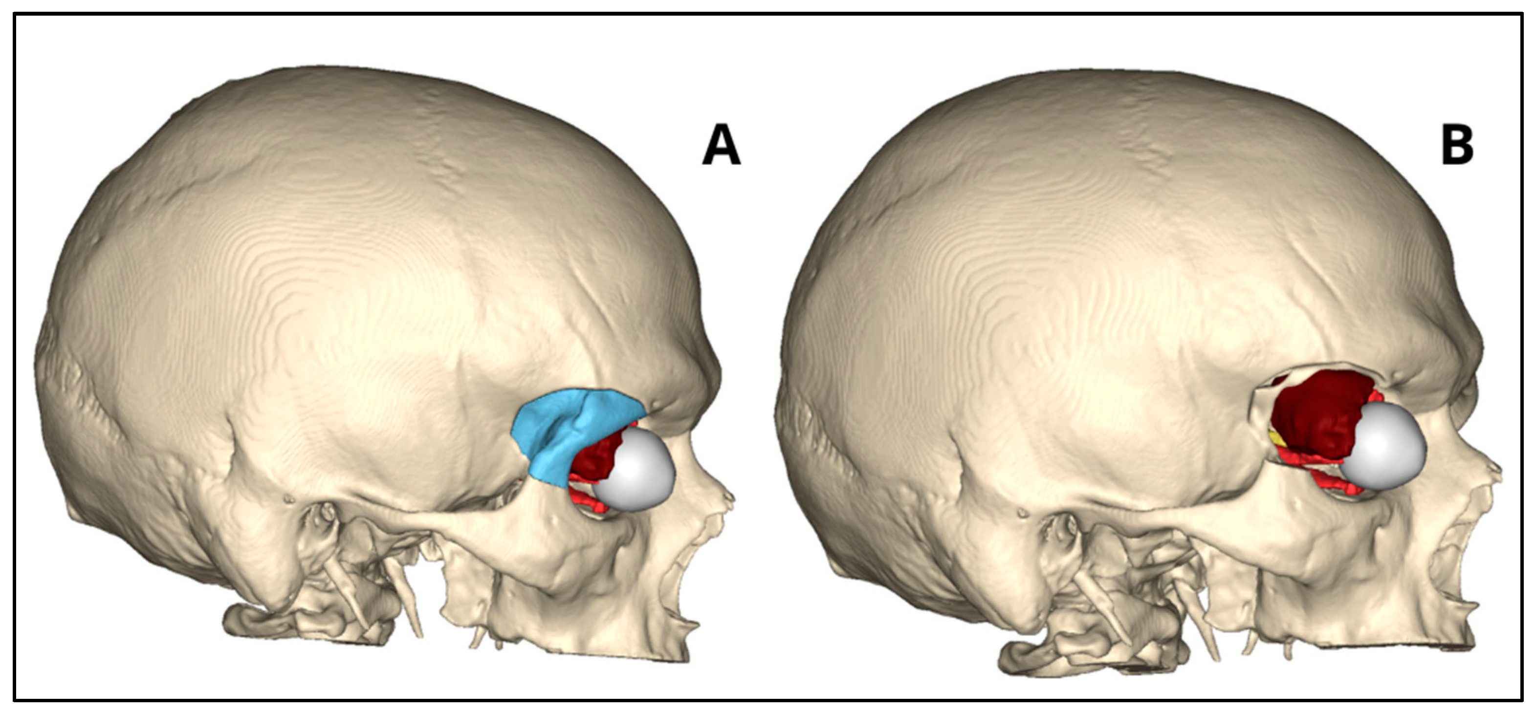 Bioengineering 11 01238 g002