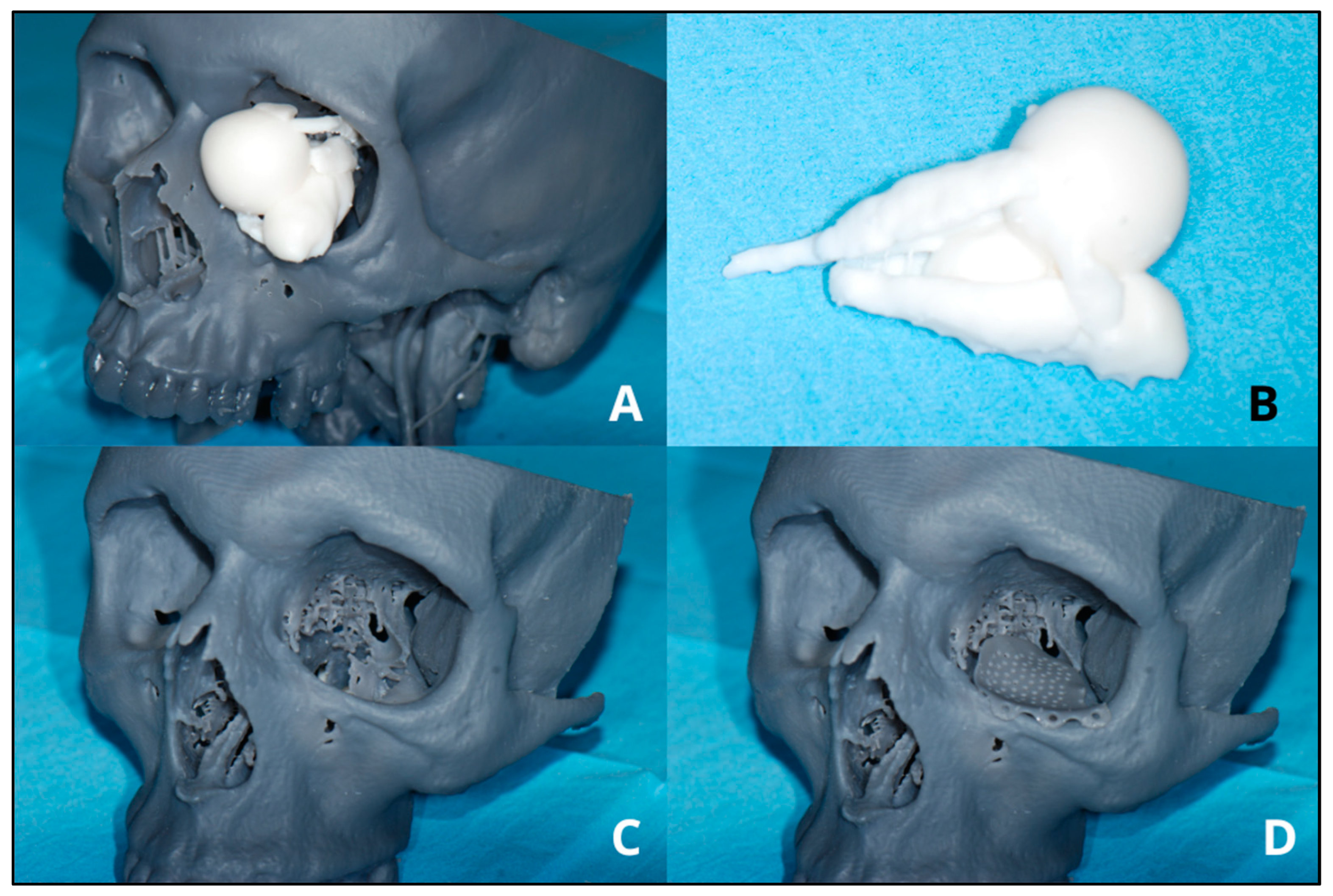 Bioengineering 11 01238 g003