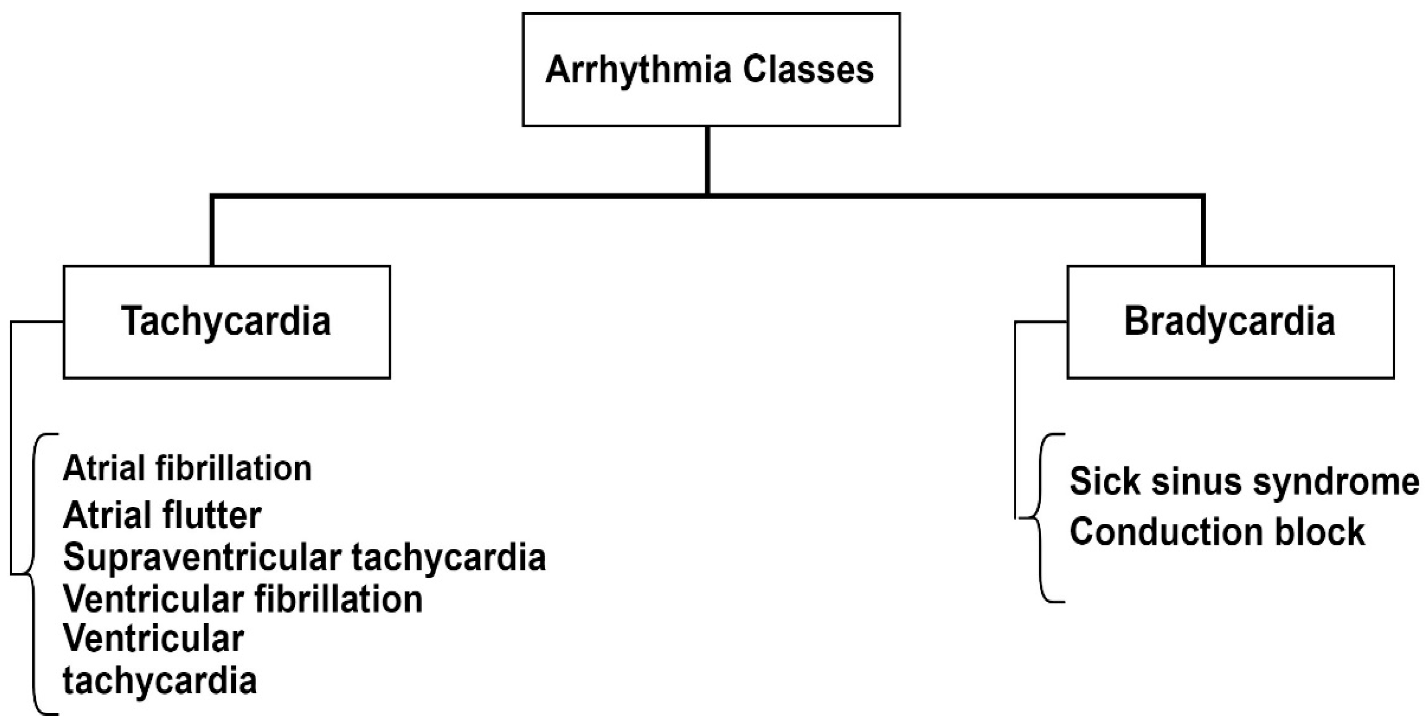 Bioengineering 11 01239 g003
