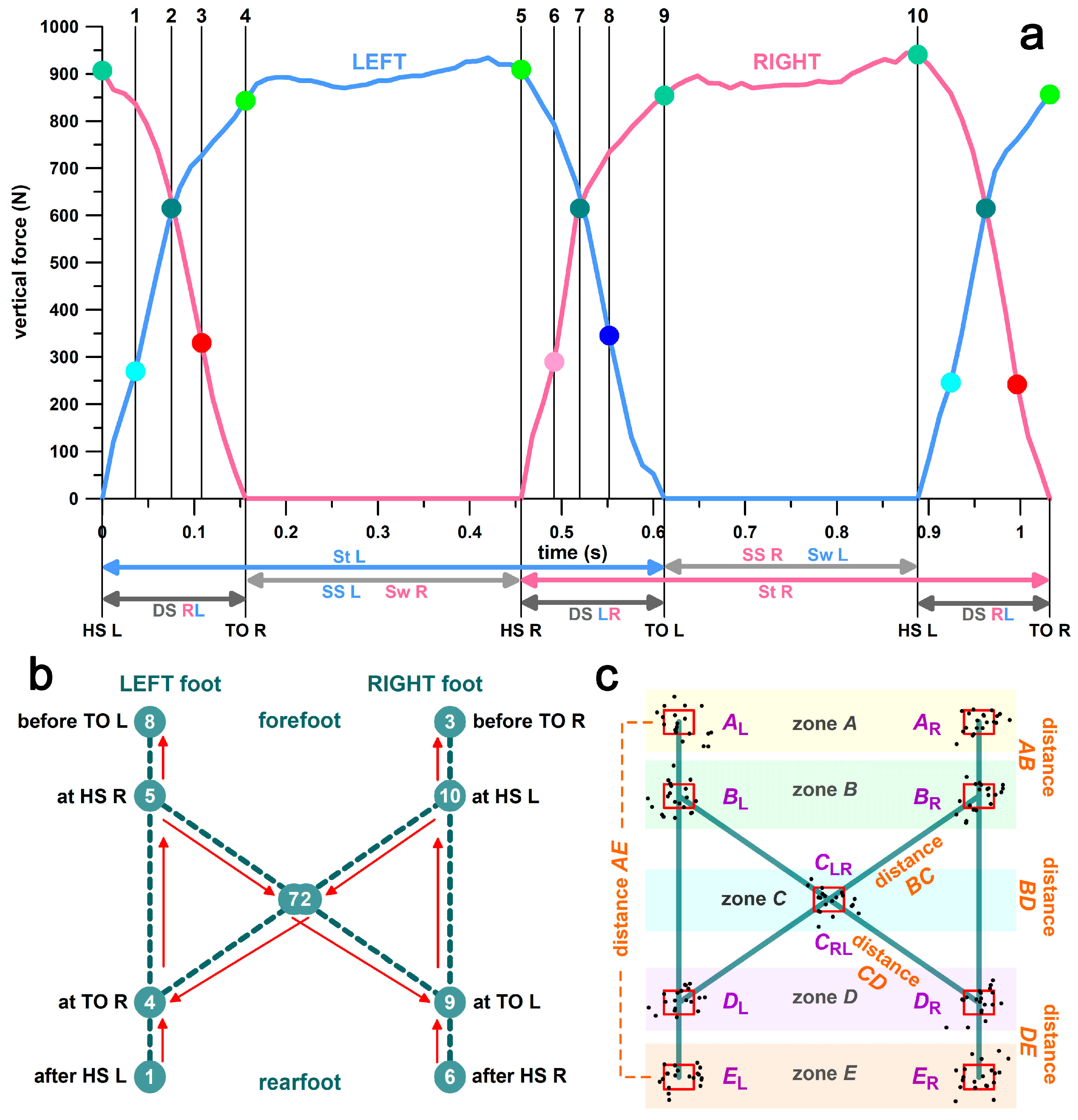 Bioengineering 11 01241 g002