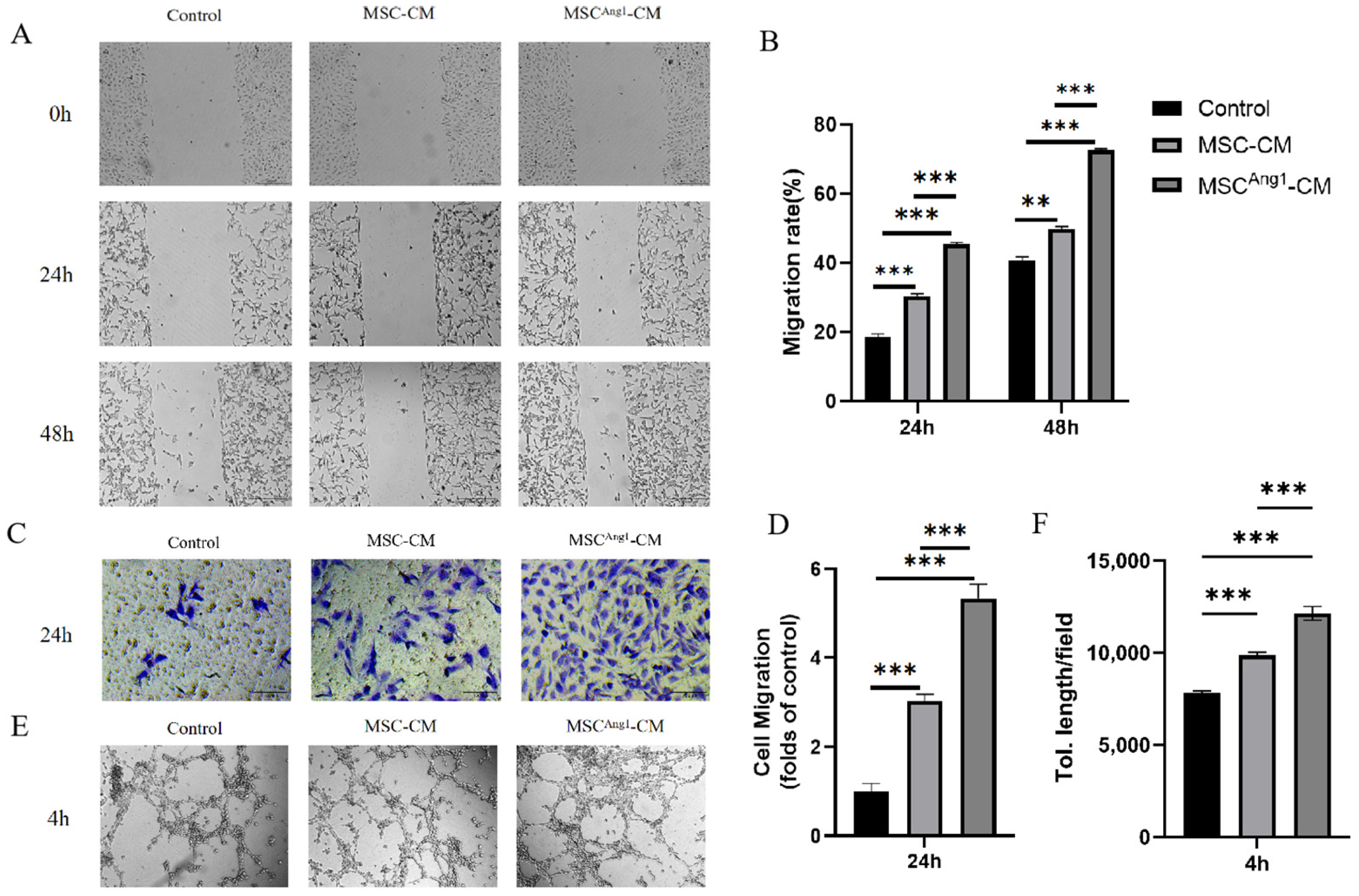 Bioengineering 11 01244 g002