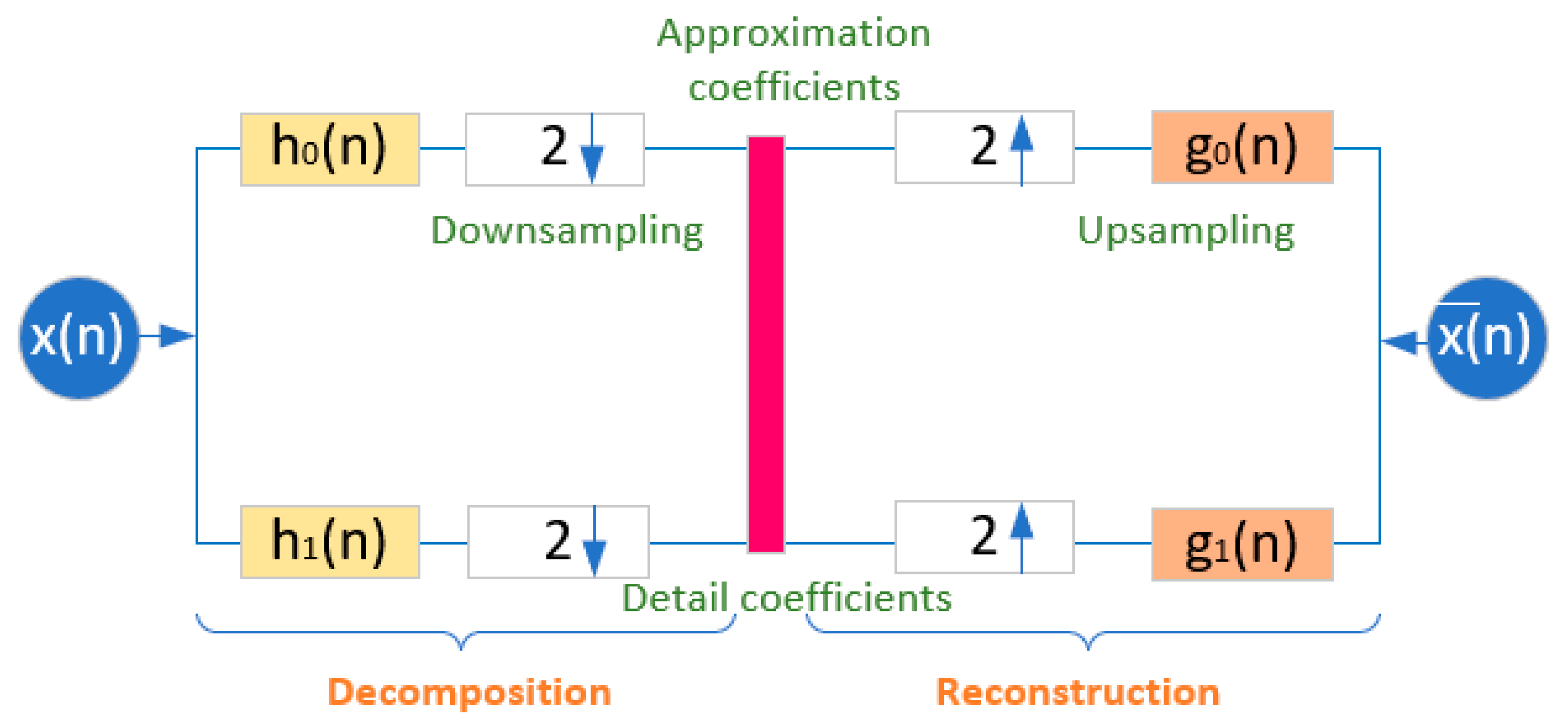 Bioengineering 11 01252 g006