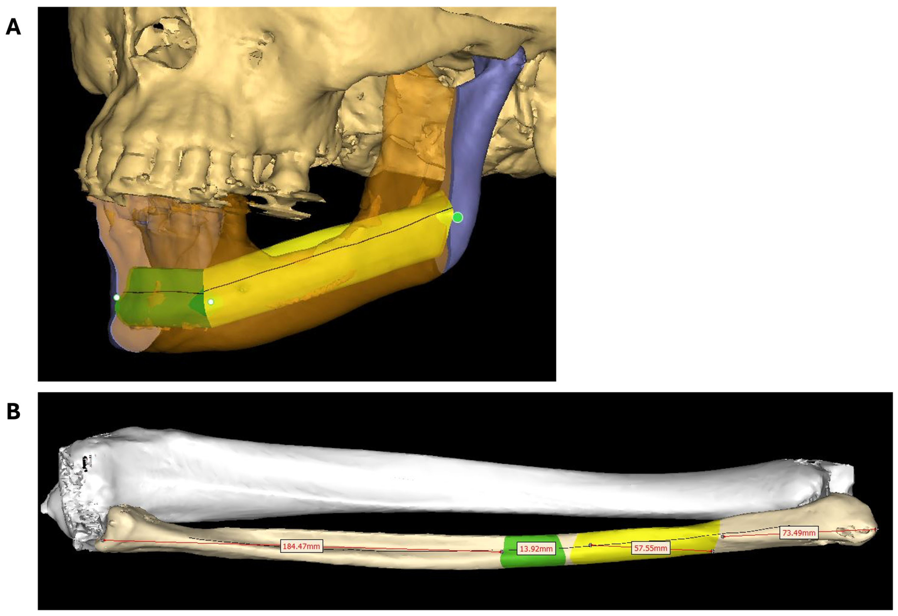 Bioengineering 11 01254 g001