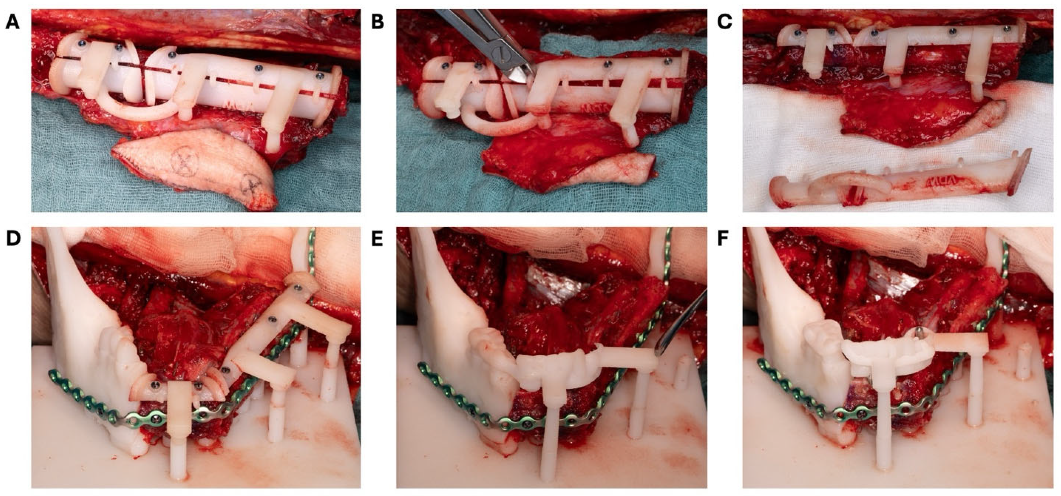Bioengineering 11 01254 g006