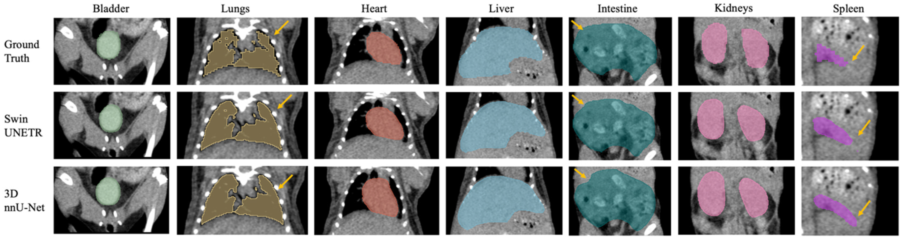 Bioengineering 11 01255 g002