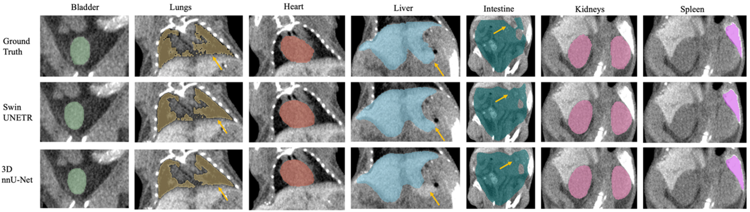 Bioengineering 11 01255 g003