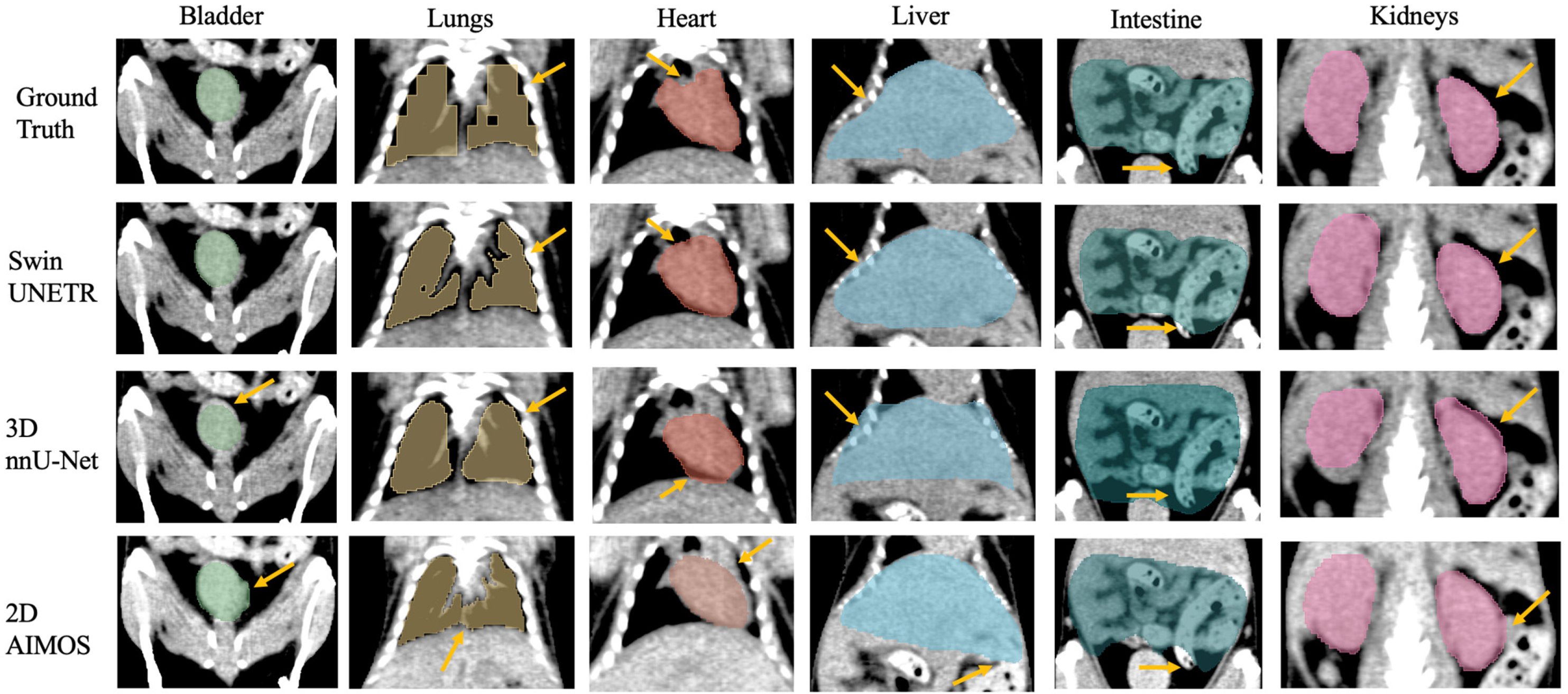 Bioengineering 11 01255 g004