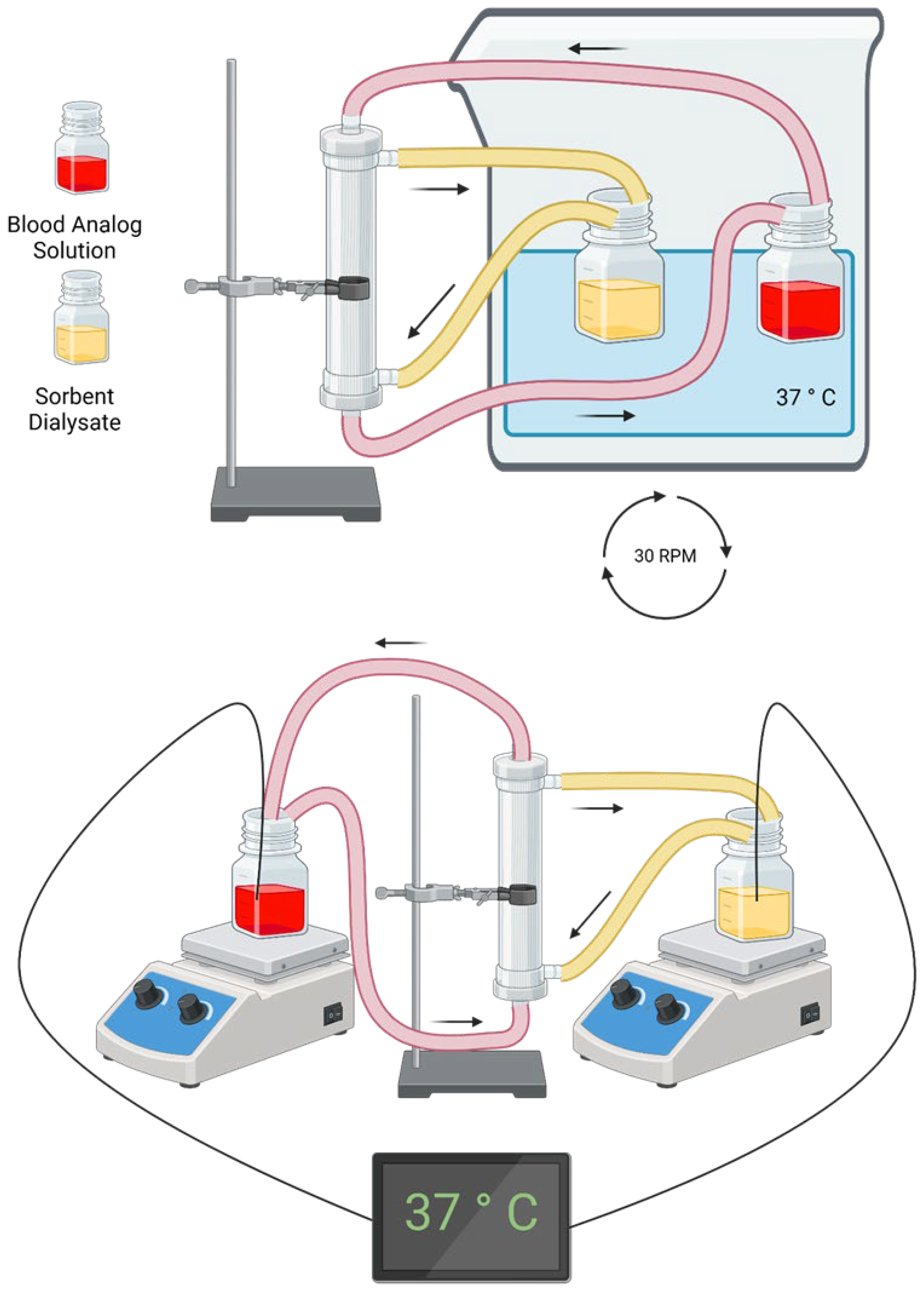 Bioengineering 11 01262 g004