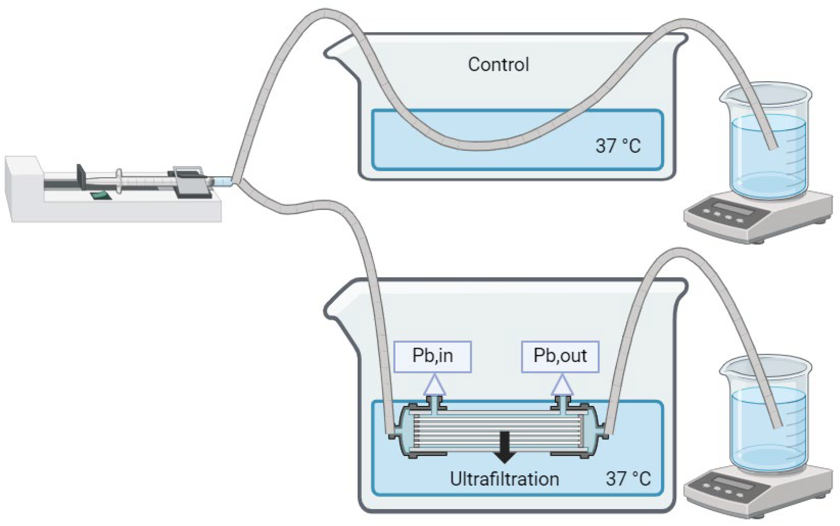 Bioengineering 11 01262 g005