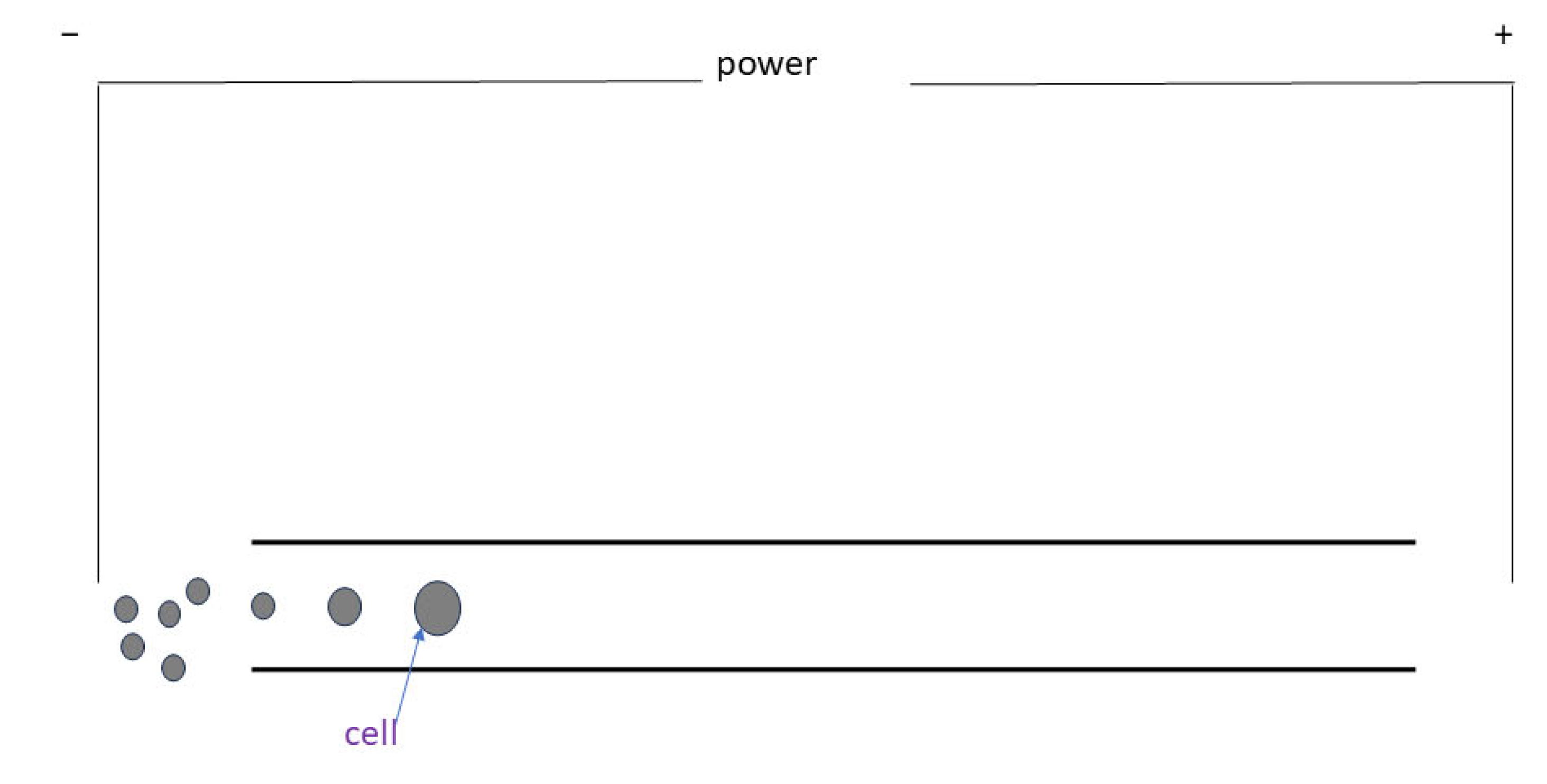 Bioengineering 11 01266 g002