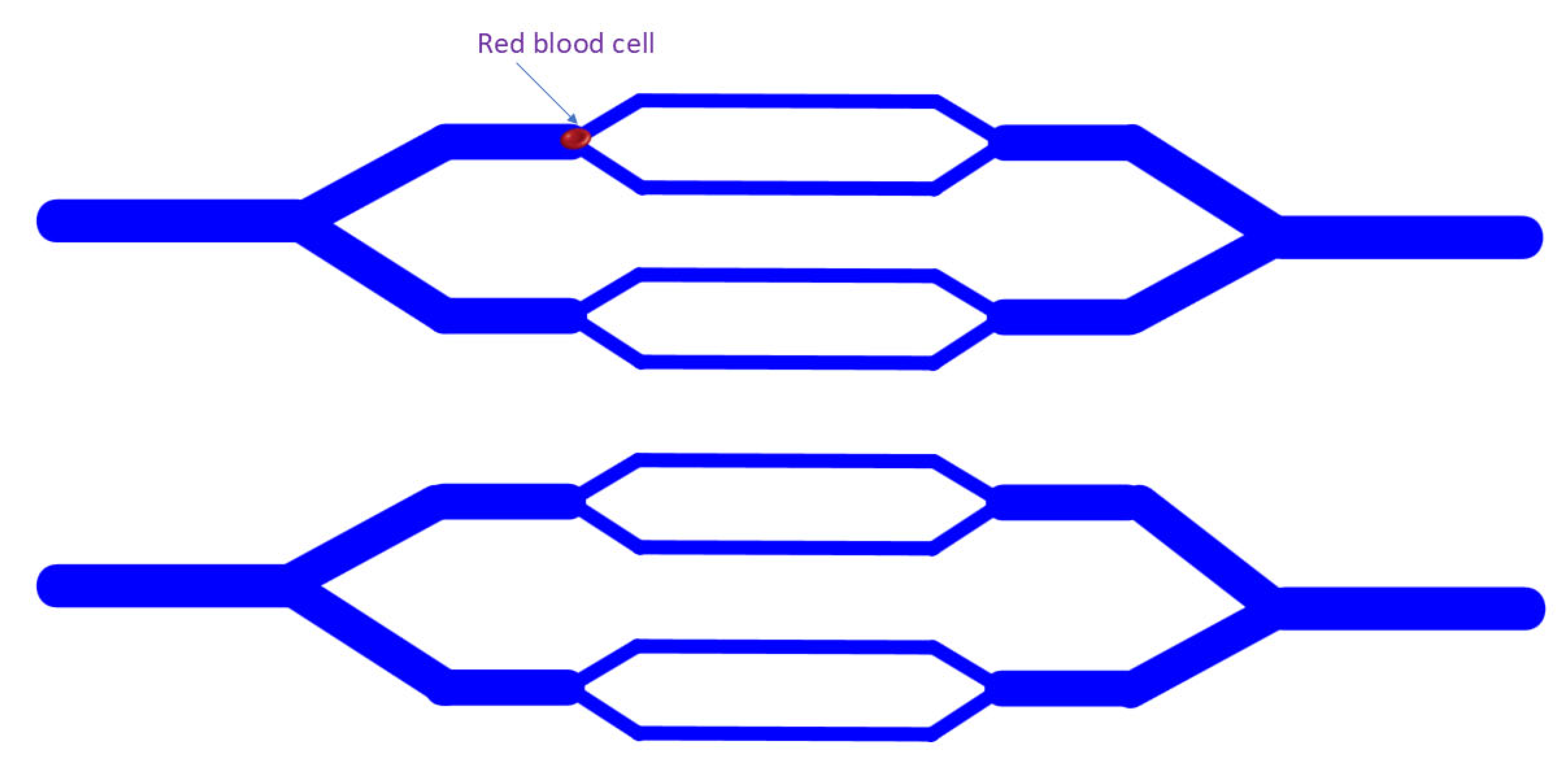 Bioengineering 11 01266 g005