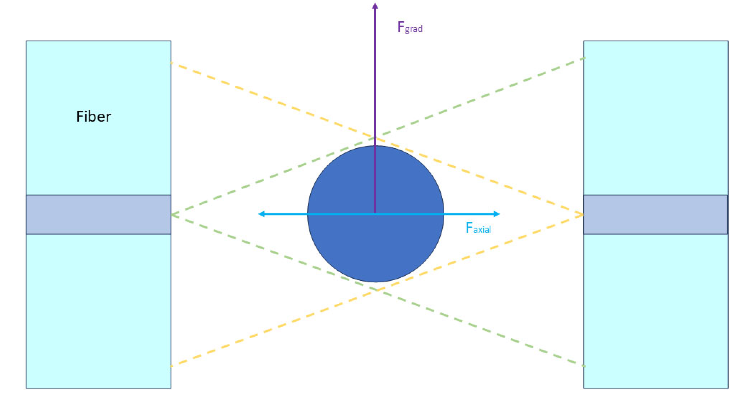 Bioengineering 11 01266 g006