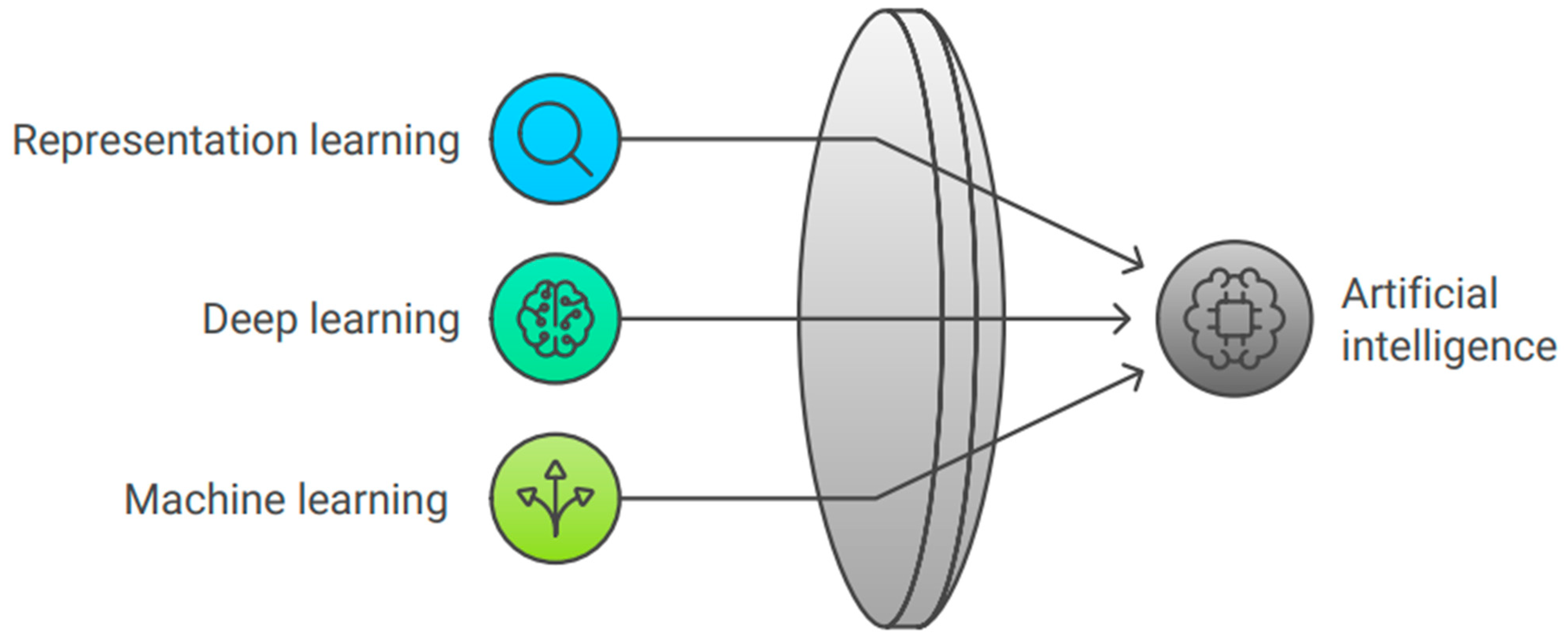 Bioengineering 11 01267 g001