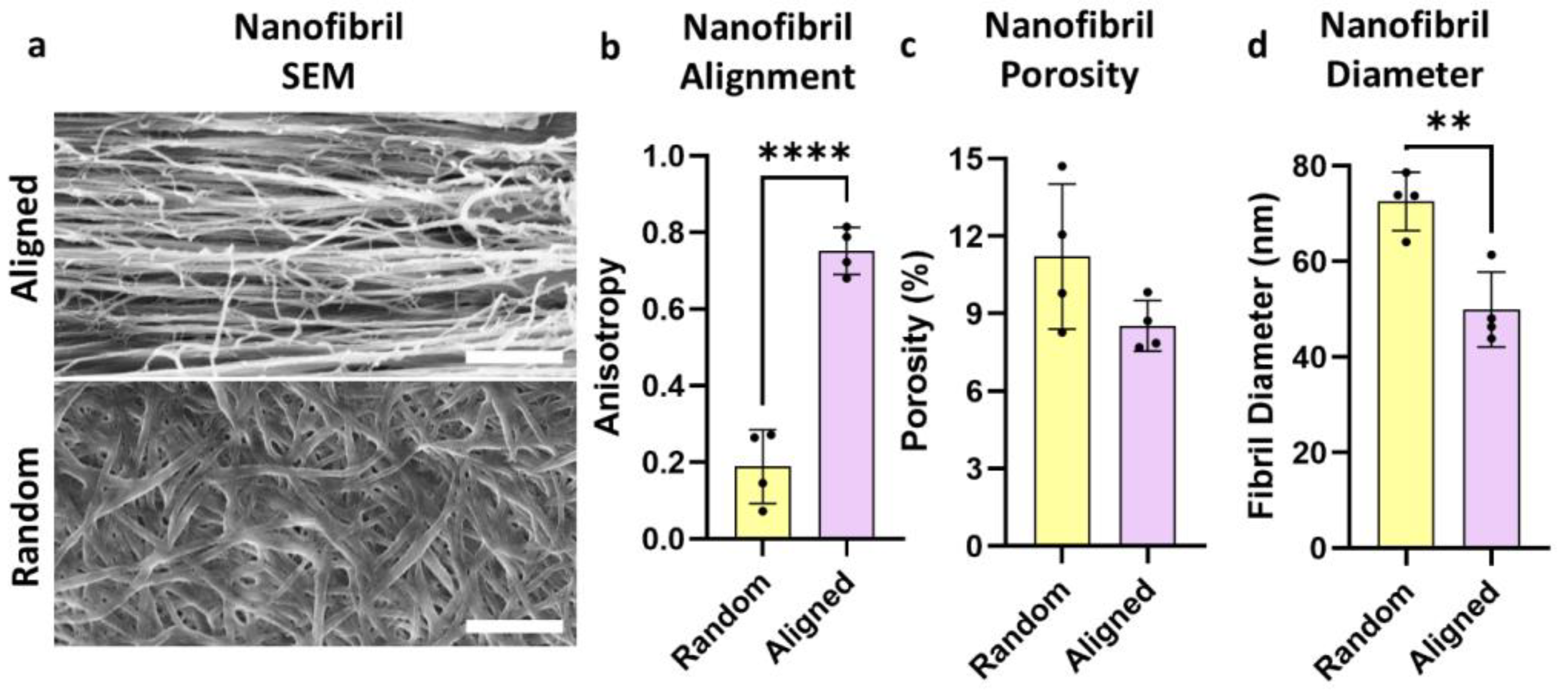Bioengineering 11 01269 g002